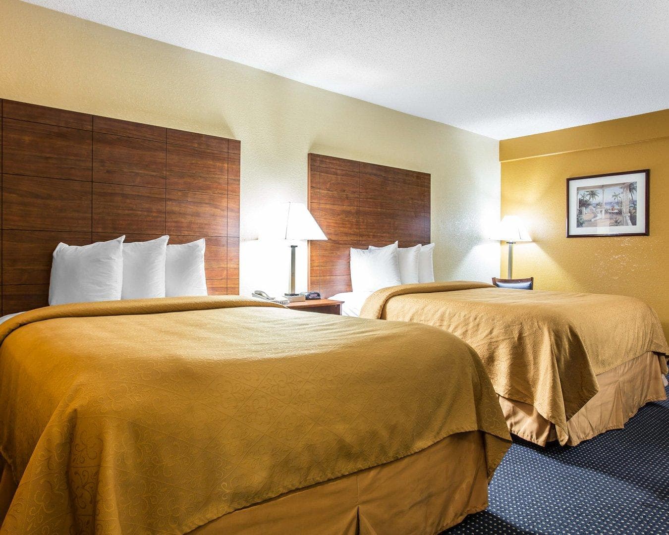 Quality Inn Mullins - Marion — 12