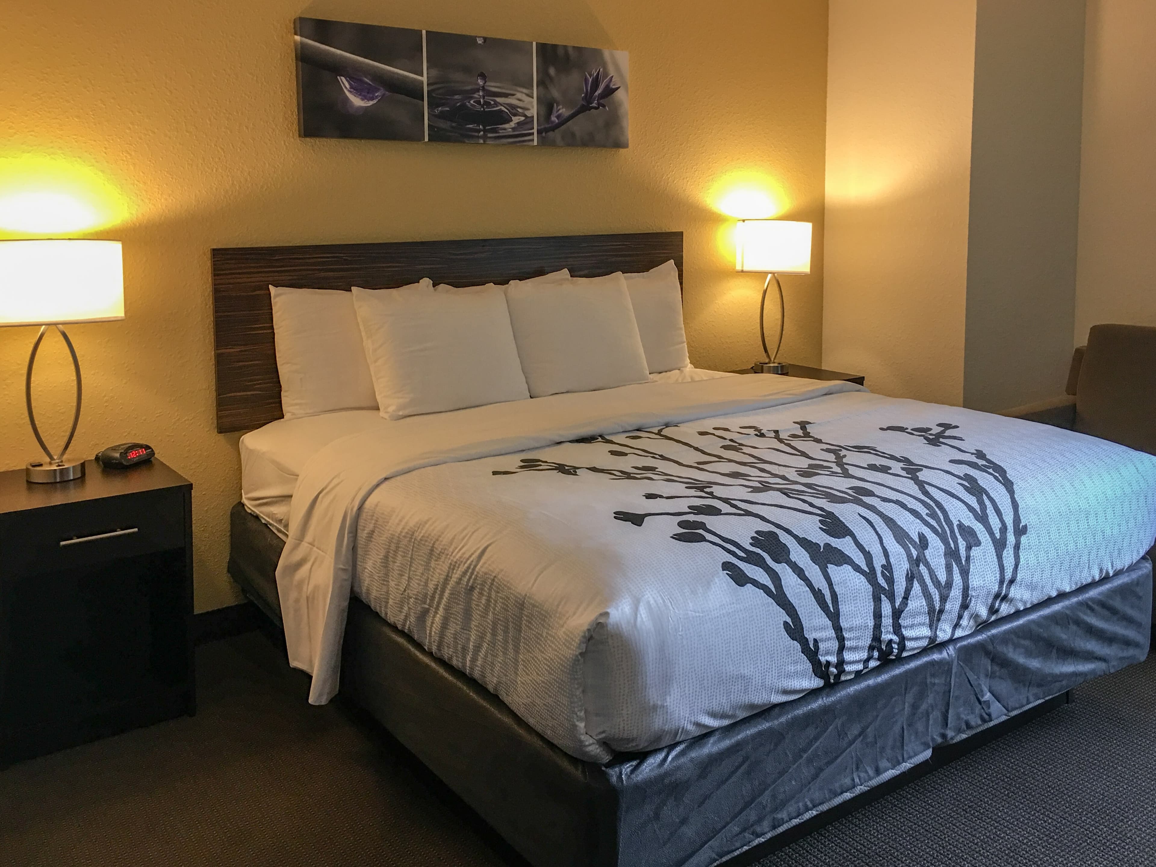 Sleep Inn Florence North — 15
