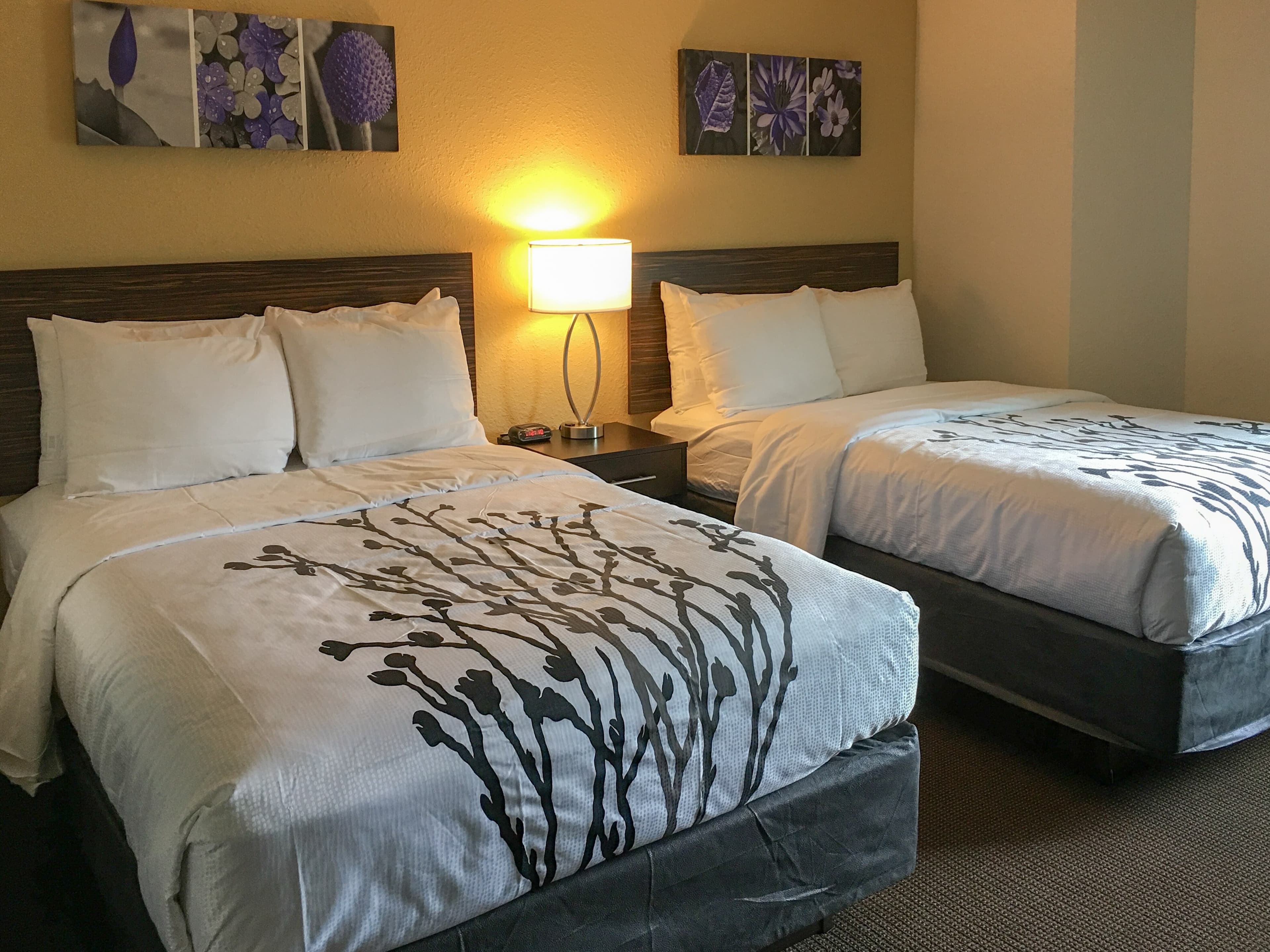 Sleep Inn Florence North — 11