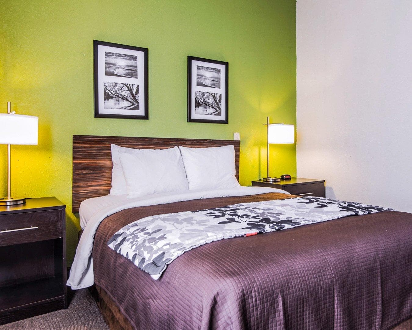 Sleep Inn Walterboro I-95 — 12