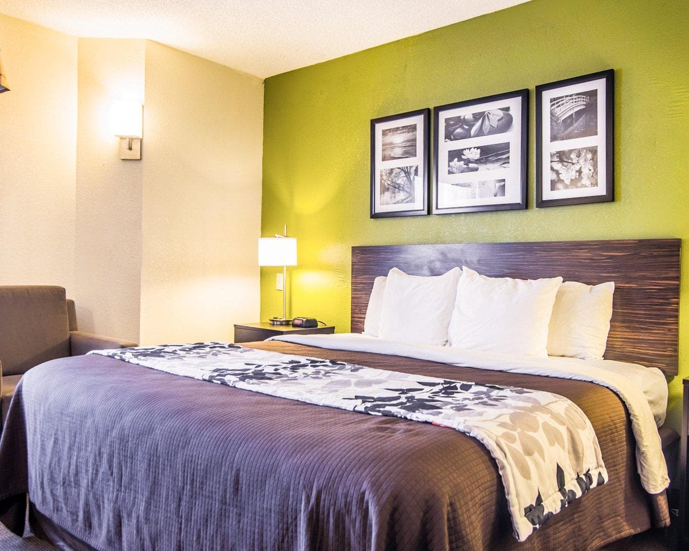 Sleep Inn Walterboro I-95 — 8