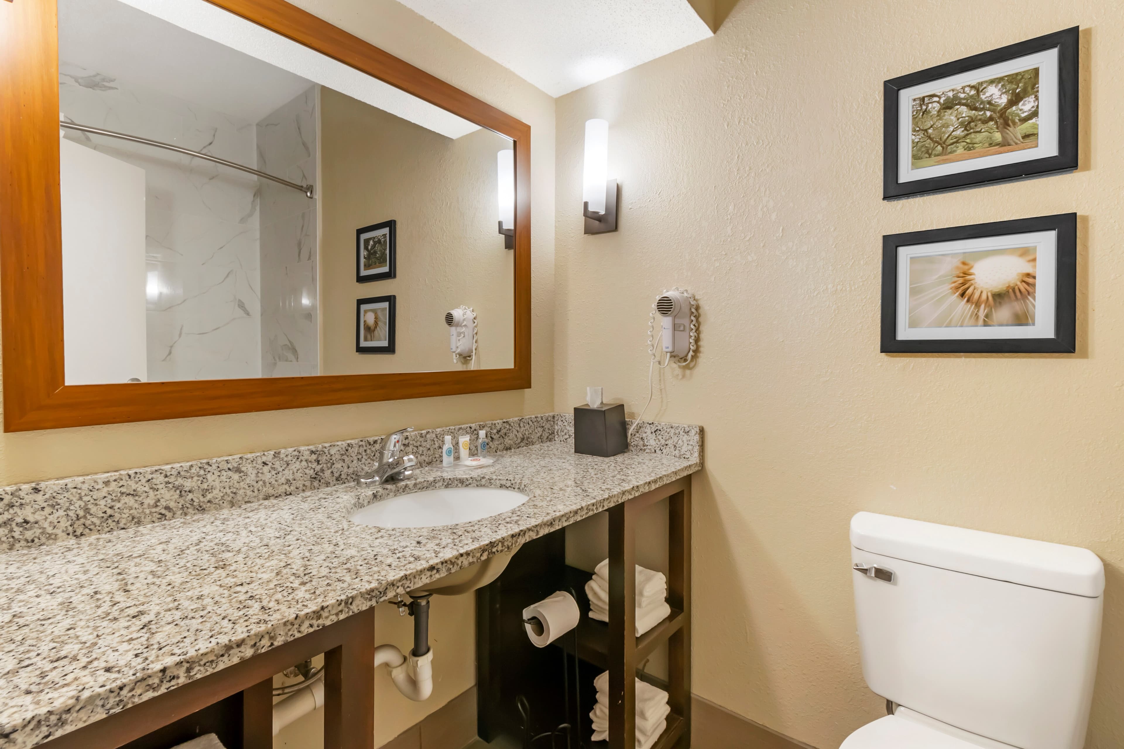 Comfort Suites At the University — 9
