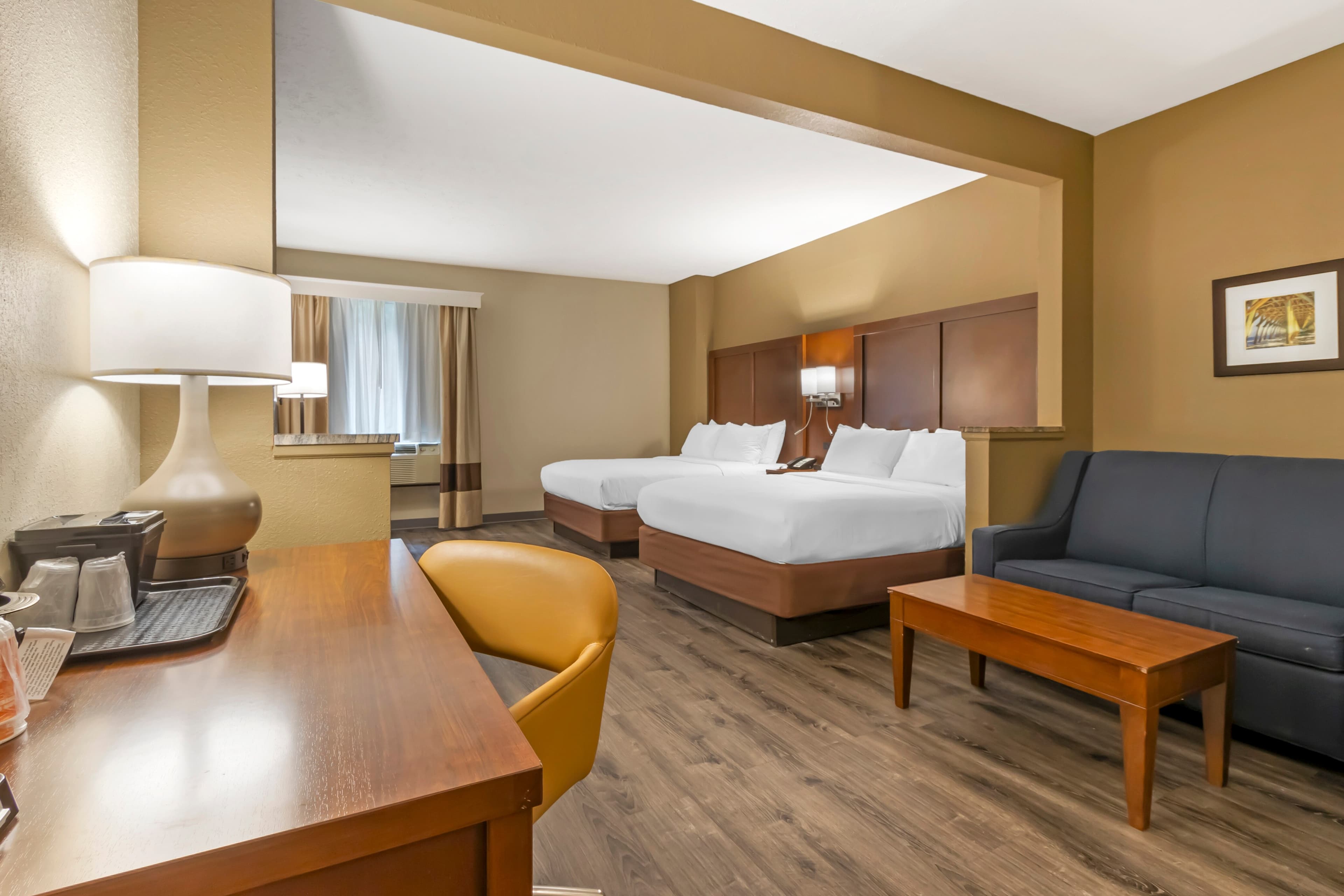 Comfort Suites At the University — 16
