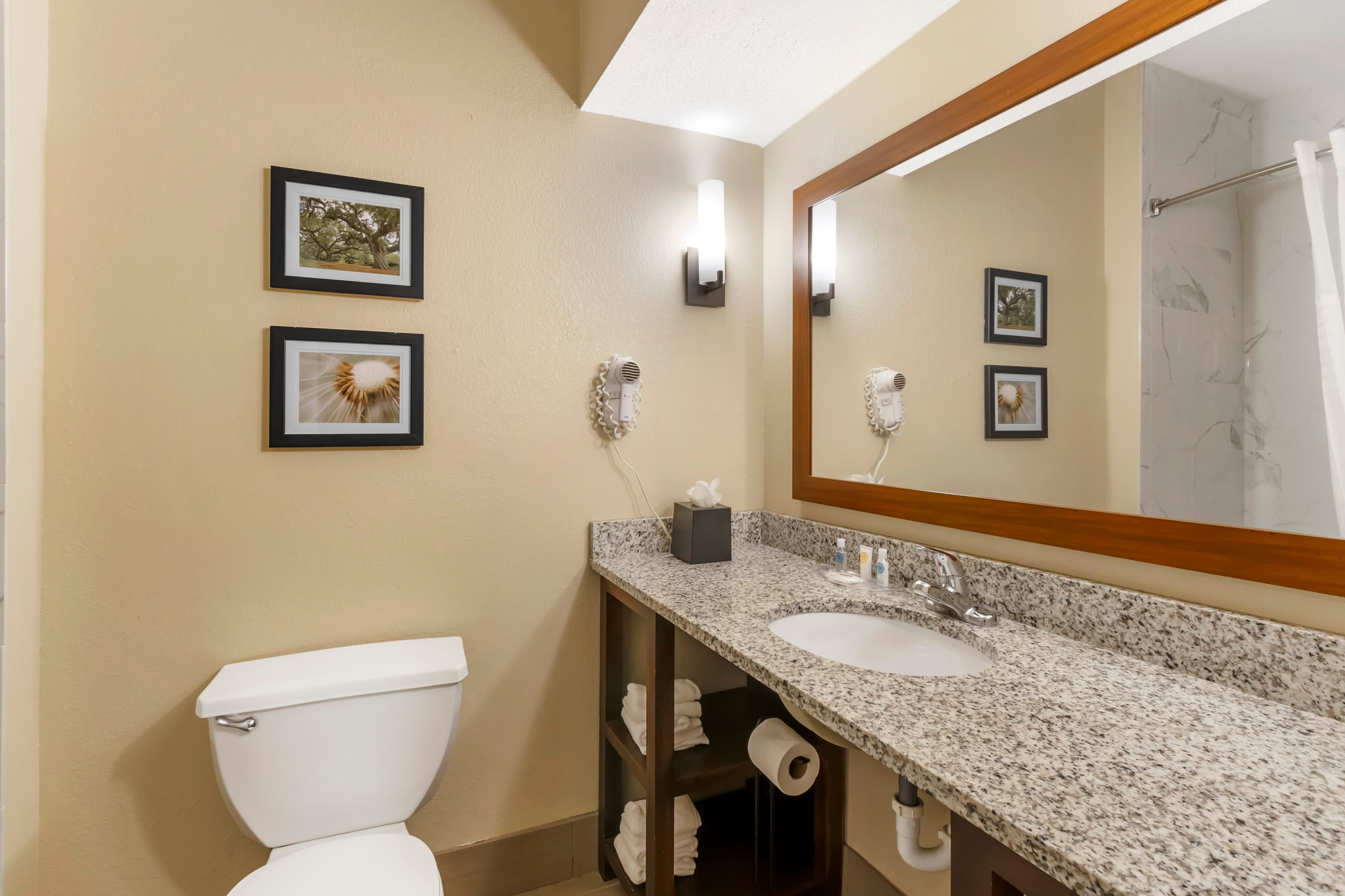 Comfort Suites At the University — 17