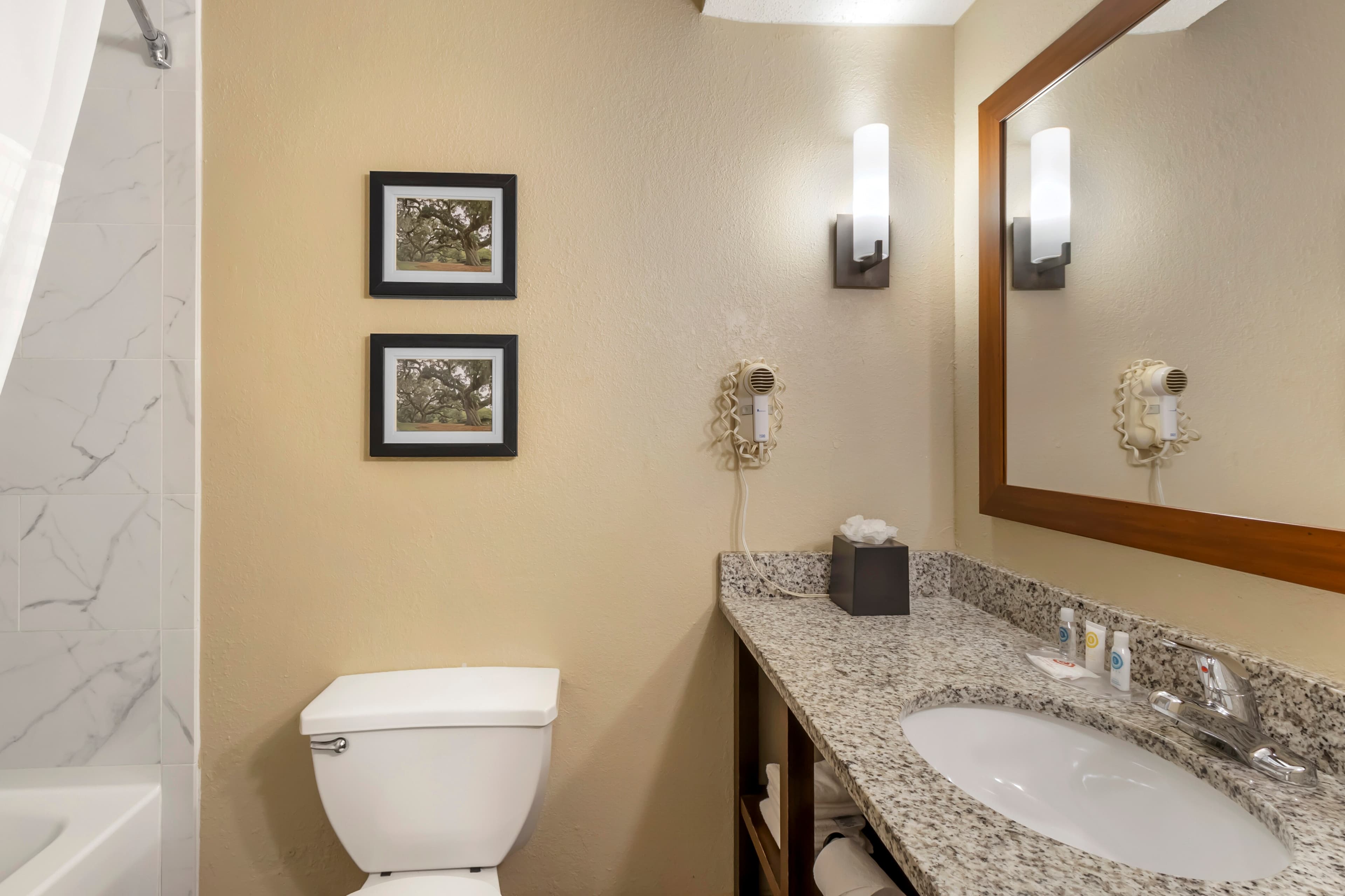 Comfort Suites At the University — 21