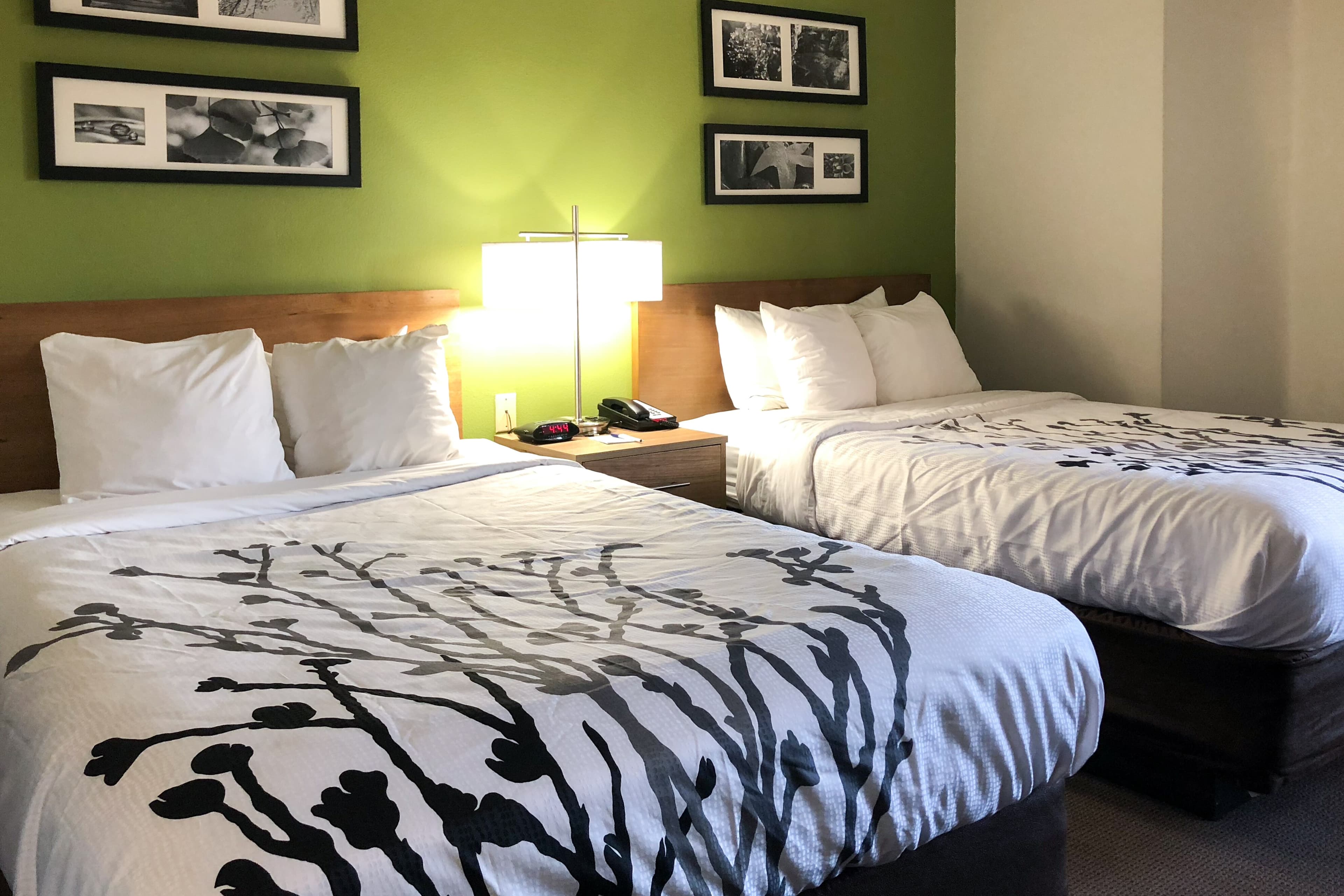 Sleep Inn Hardeeville - I-95 - Image 4