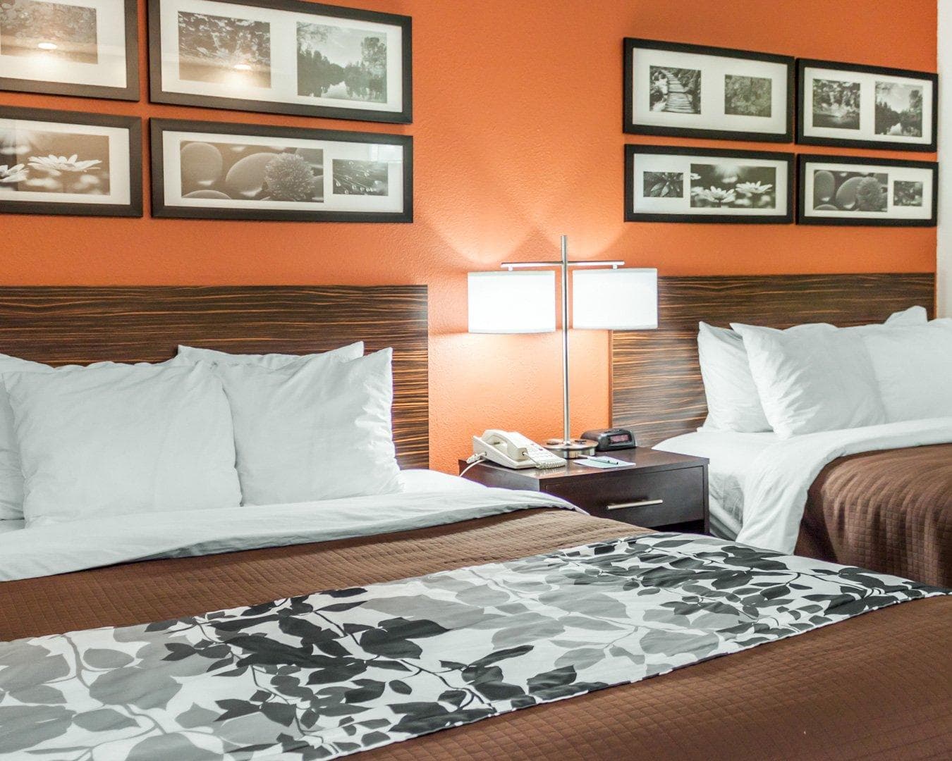 Sleep Inn North Charleston Ashley Phosphate — 24