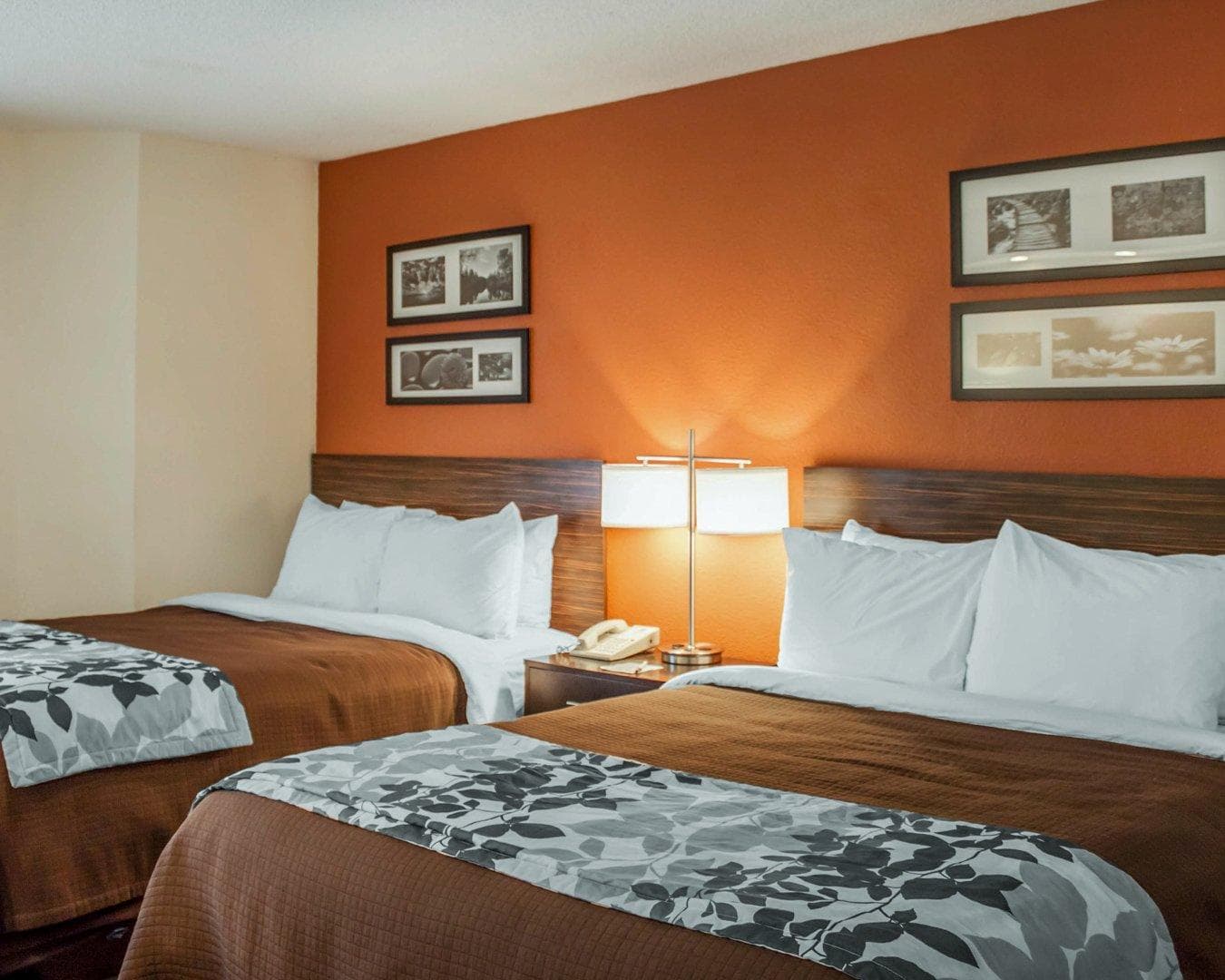 Sleep Inn North Charleston Ashley Phosphate — 20