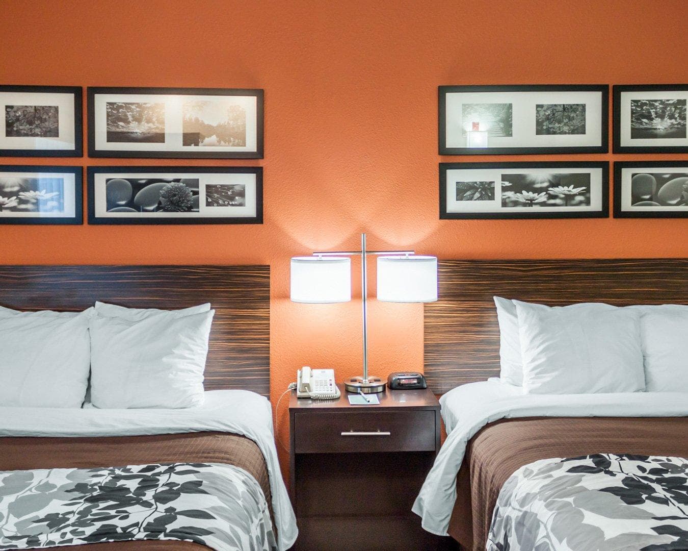 Sleep Inn North Charleston Ashley Phosphate — 21