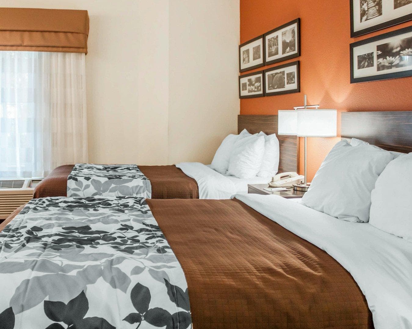 Sleep Inn North Charleston Ashley Phosphate — 22