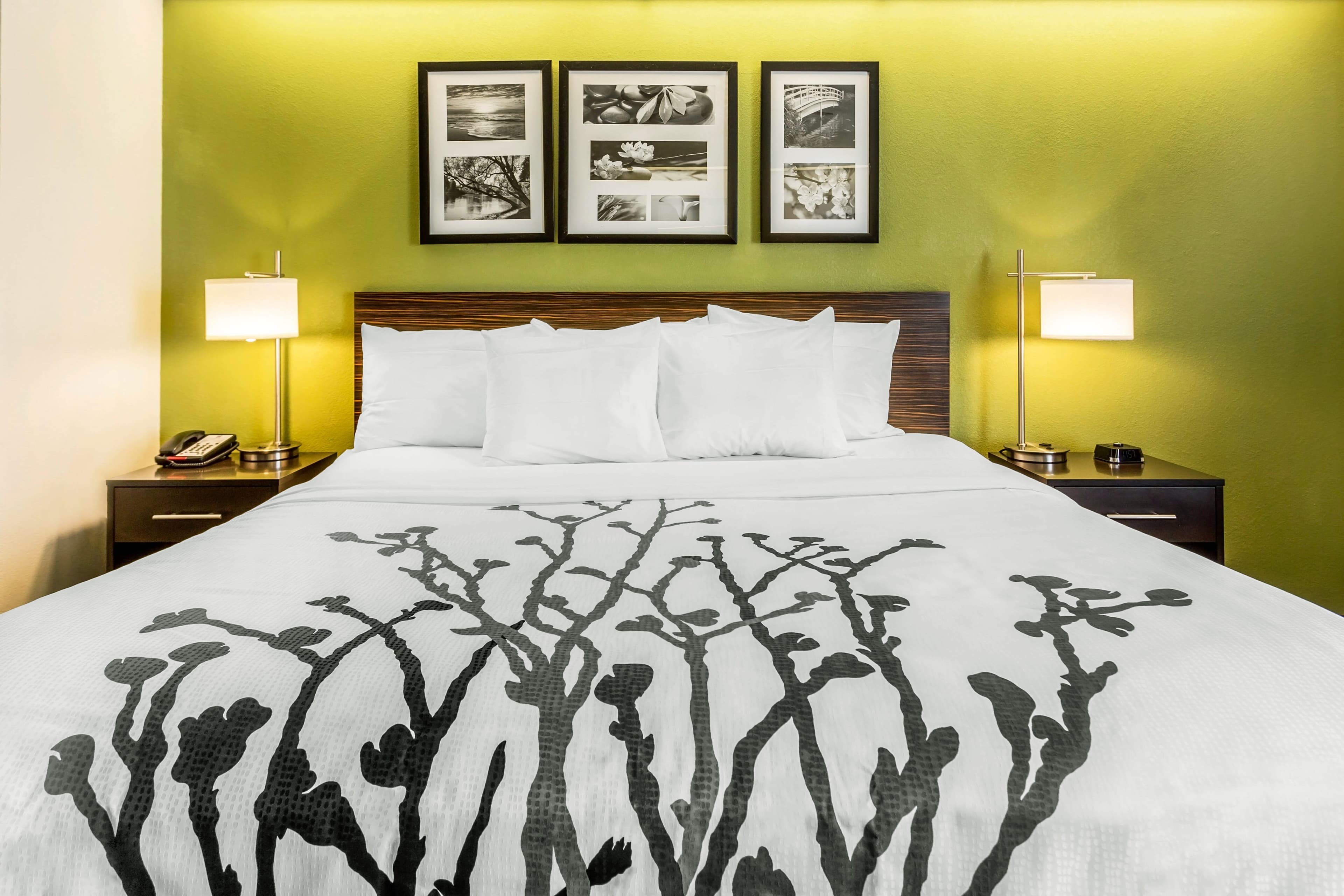Sleep Inn Charleston - West Ashley — 8
