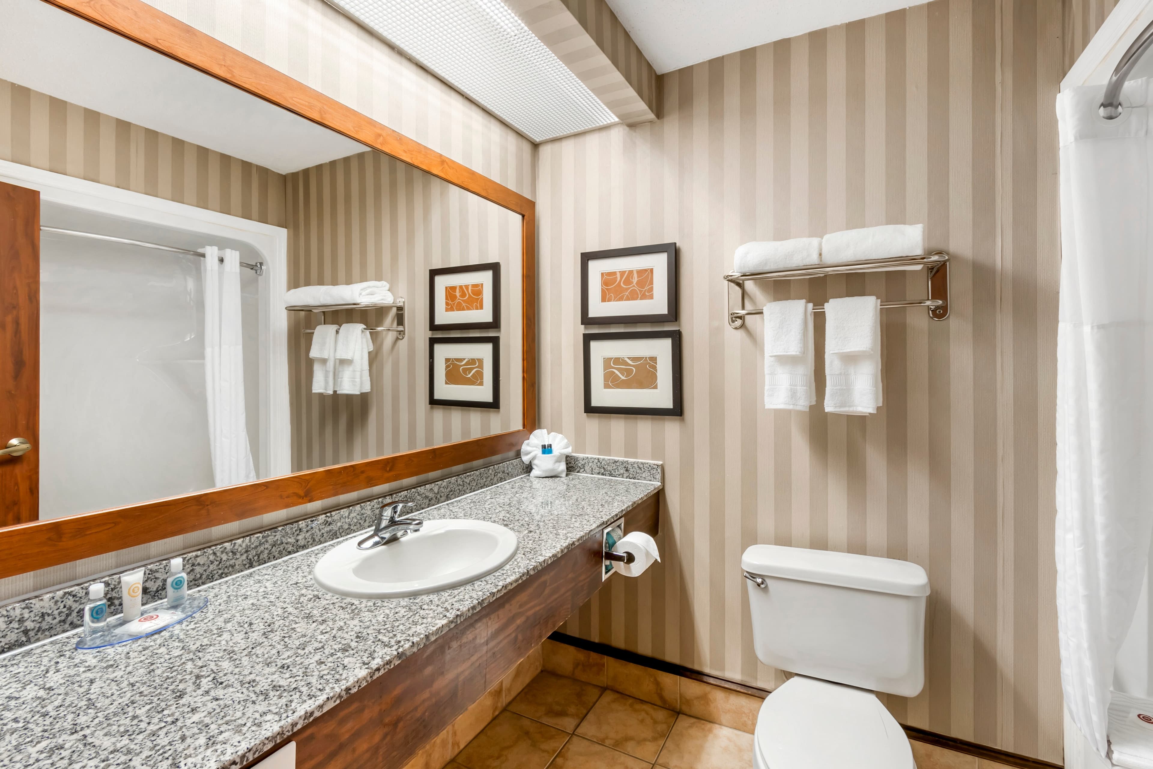 Comfort Inn Summerville - Charleston - Image 5