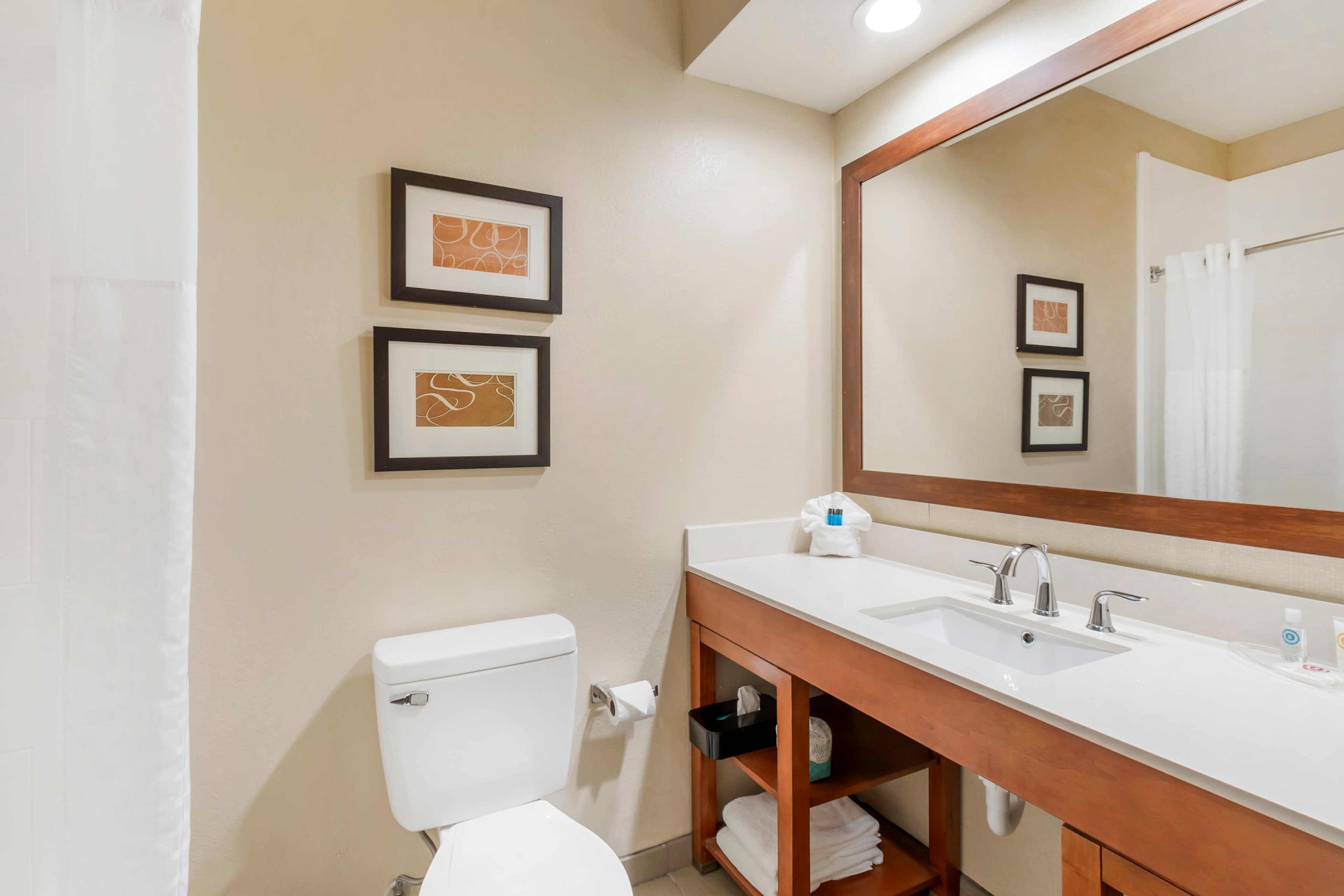 Comfort Inn Summerville - Charleston — 9