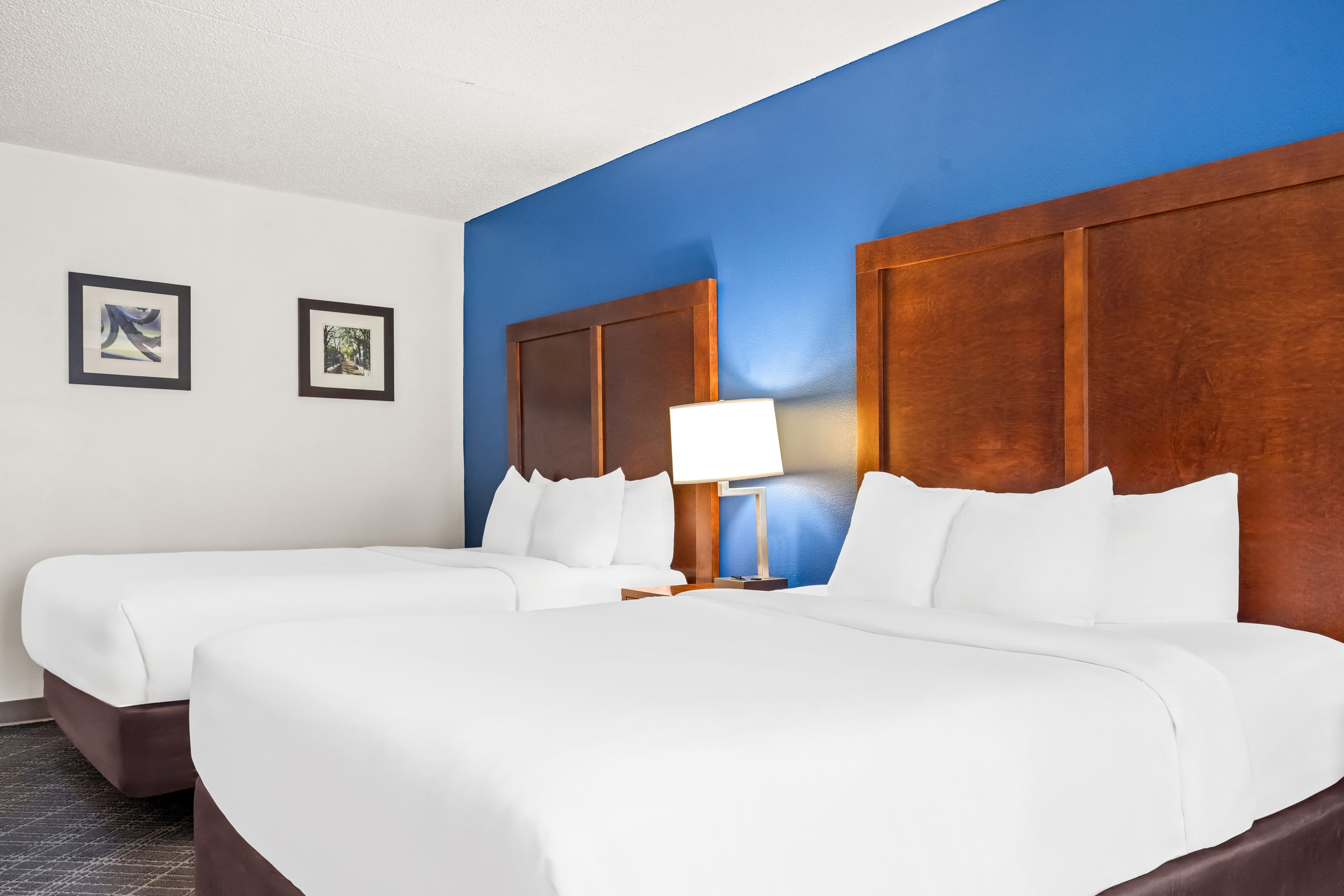 Comfort Inn & Suites Walterboro I-95 - Image 4