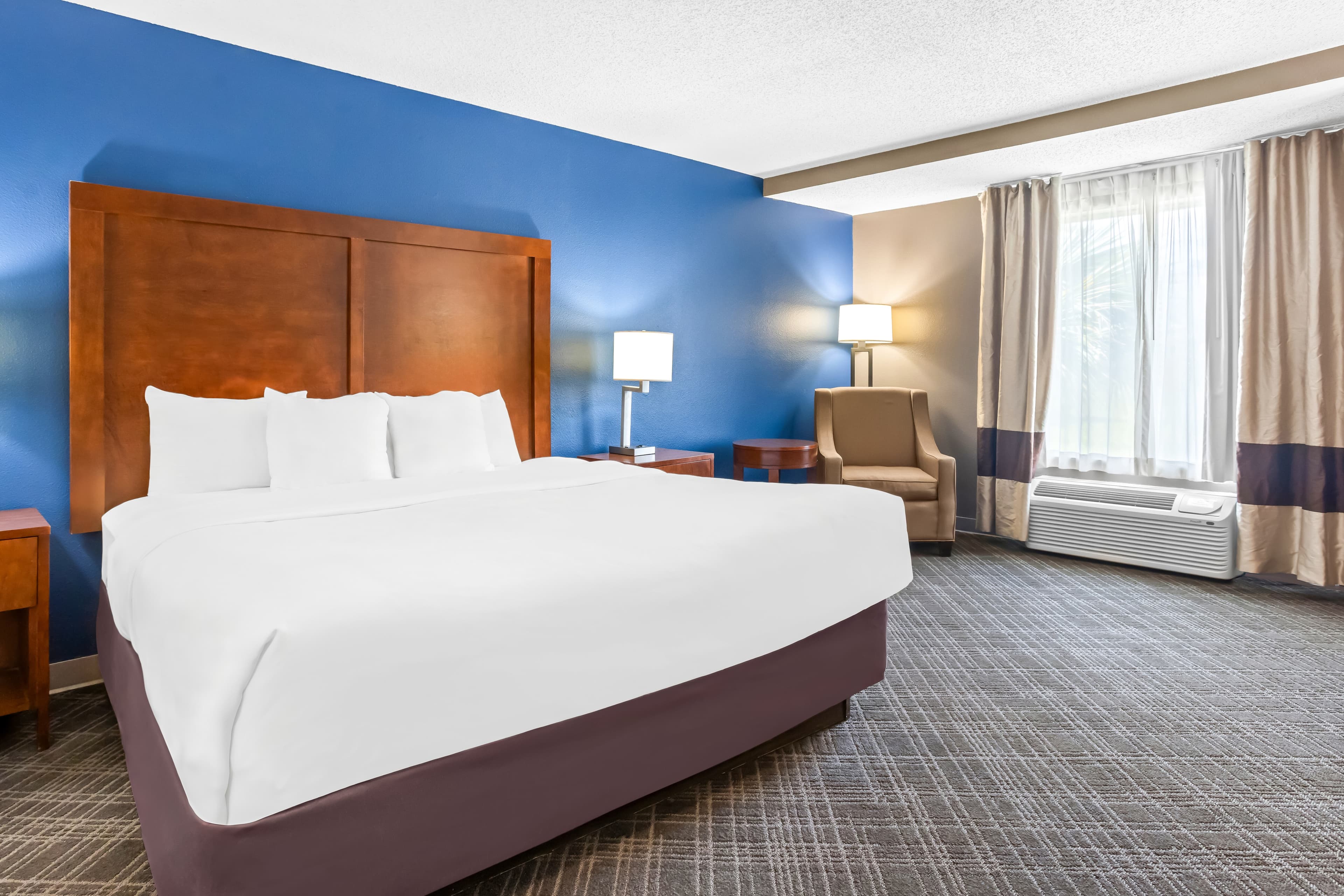 Comfort Inn & Suites Walterboro I-95 — 6