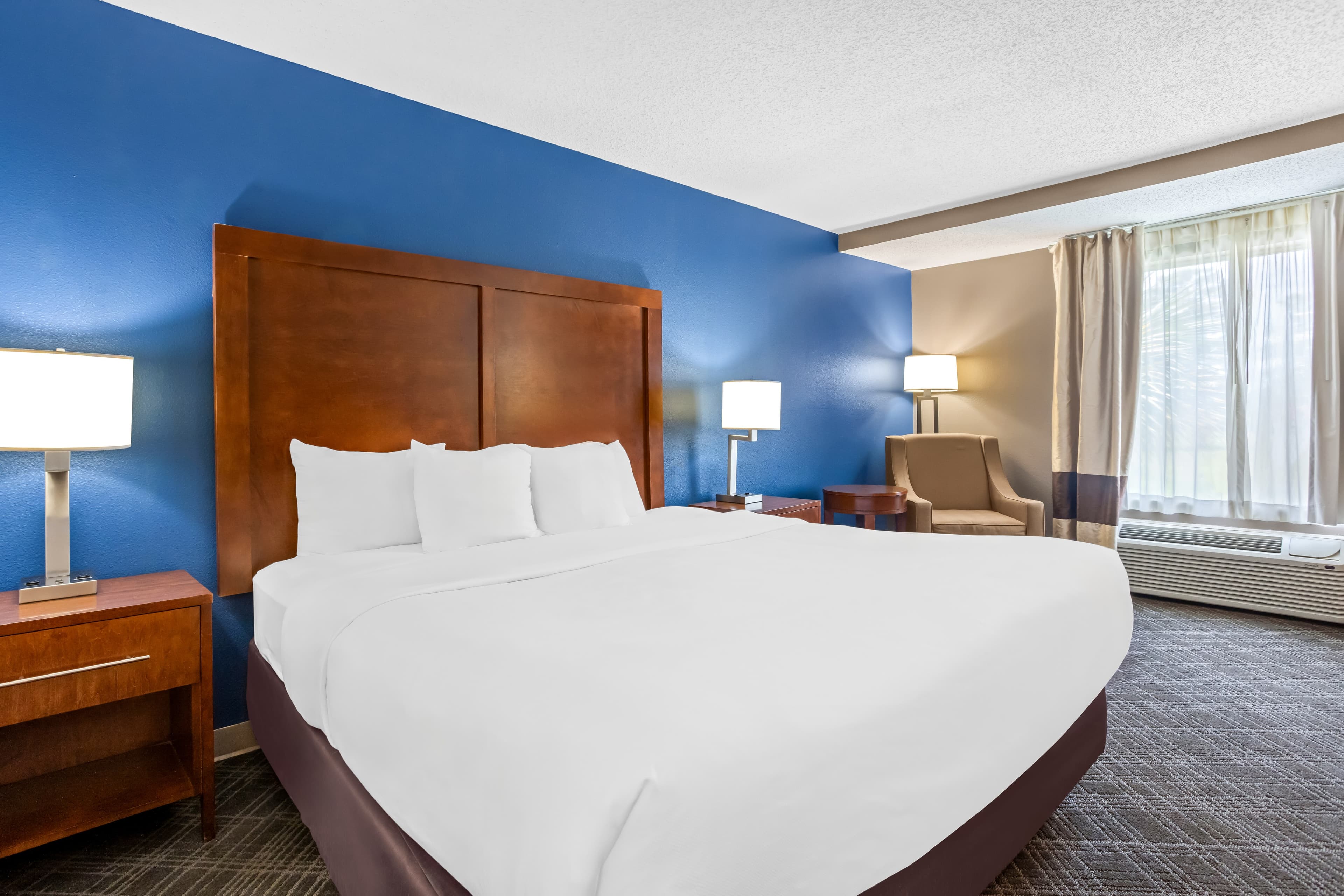 Comfort Inn & Suites Walterboro I-95 — 7