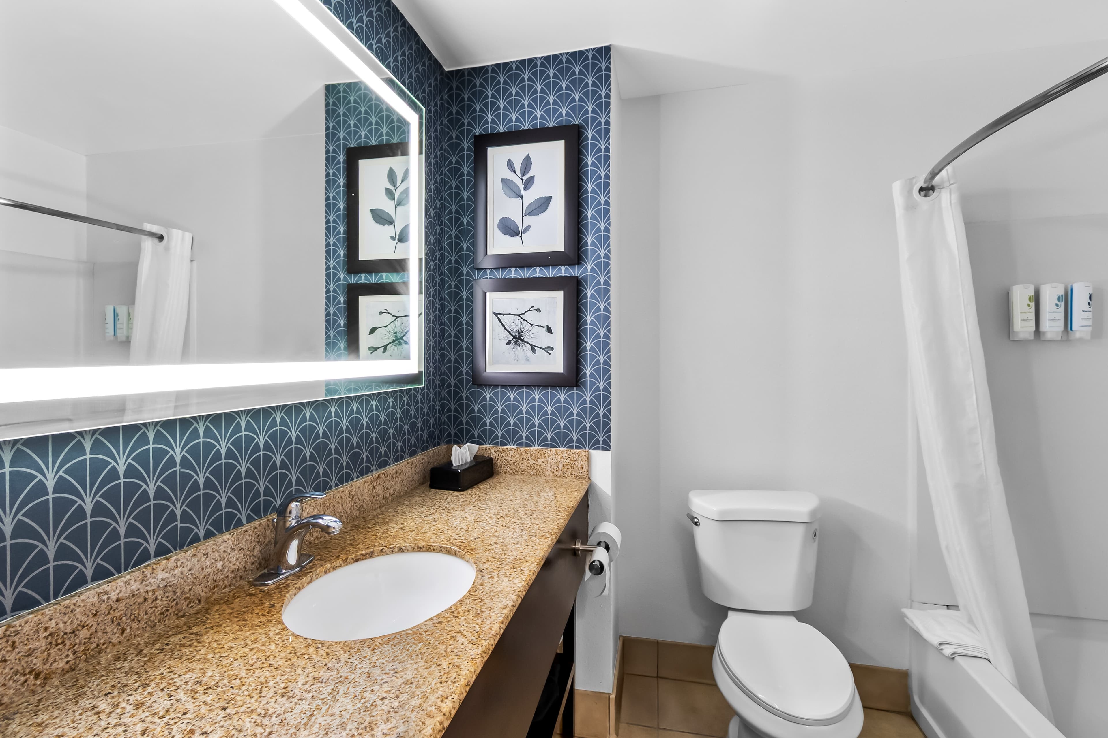 Country Inn & Suites By Radisson, Charleston North, SC - Image 5