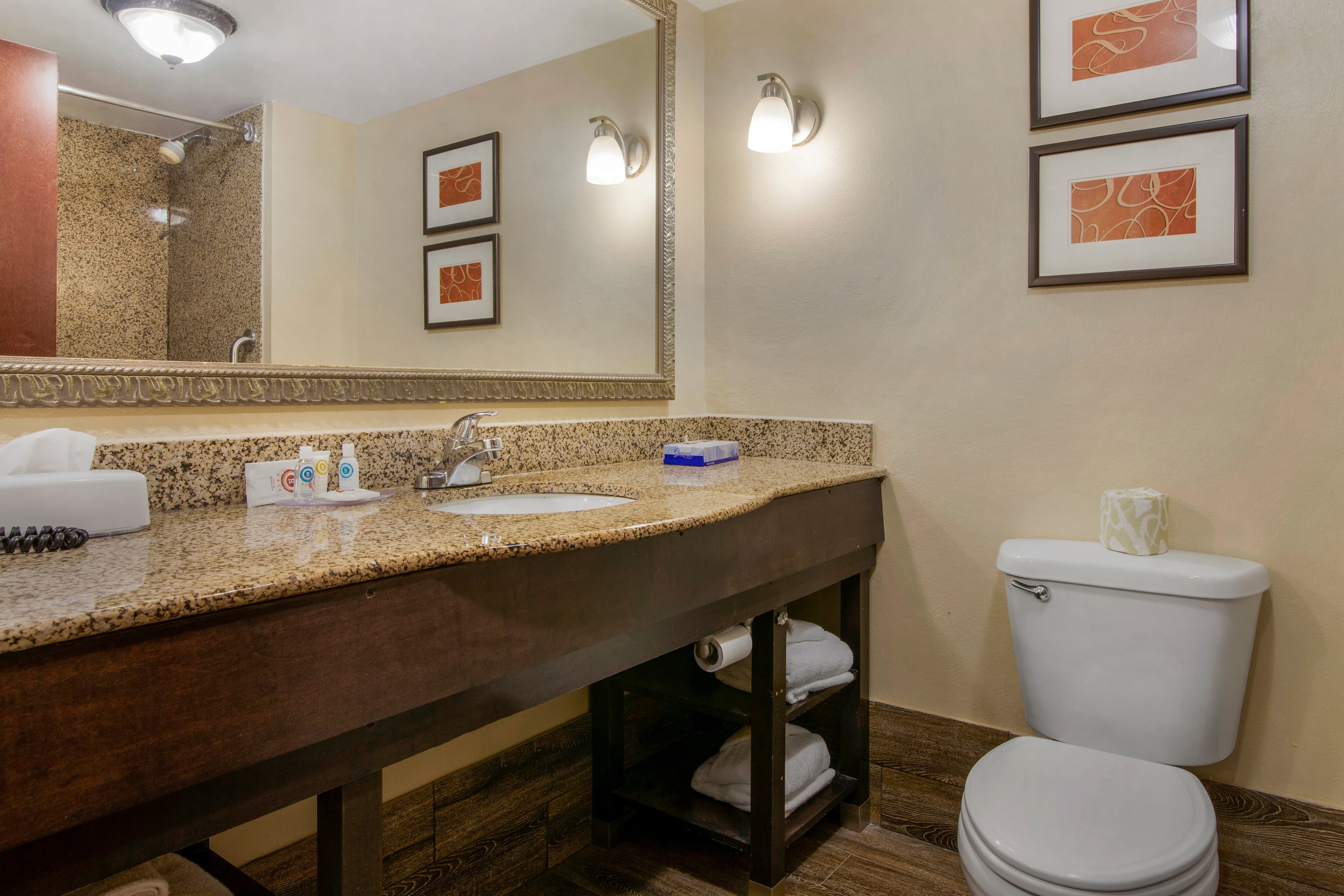 Comfort Suites near MCAS Beaufort — 7