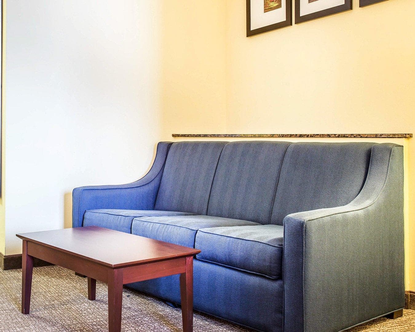 Comfort Suites Rock Hill Manchester Meadows Area - Image 4