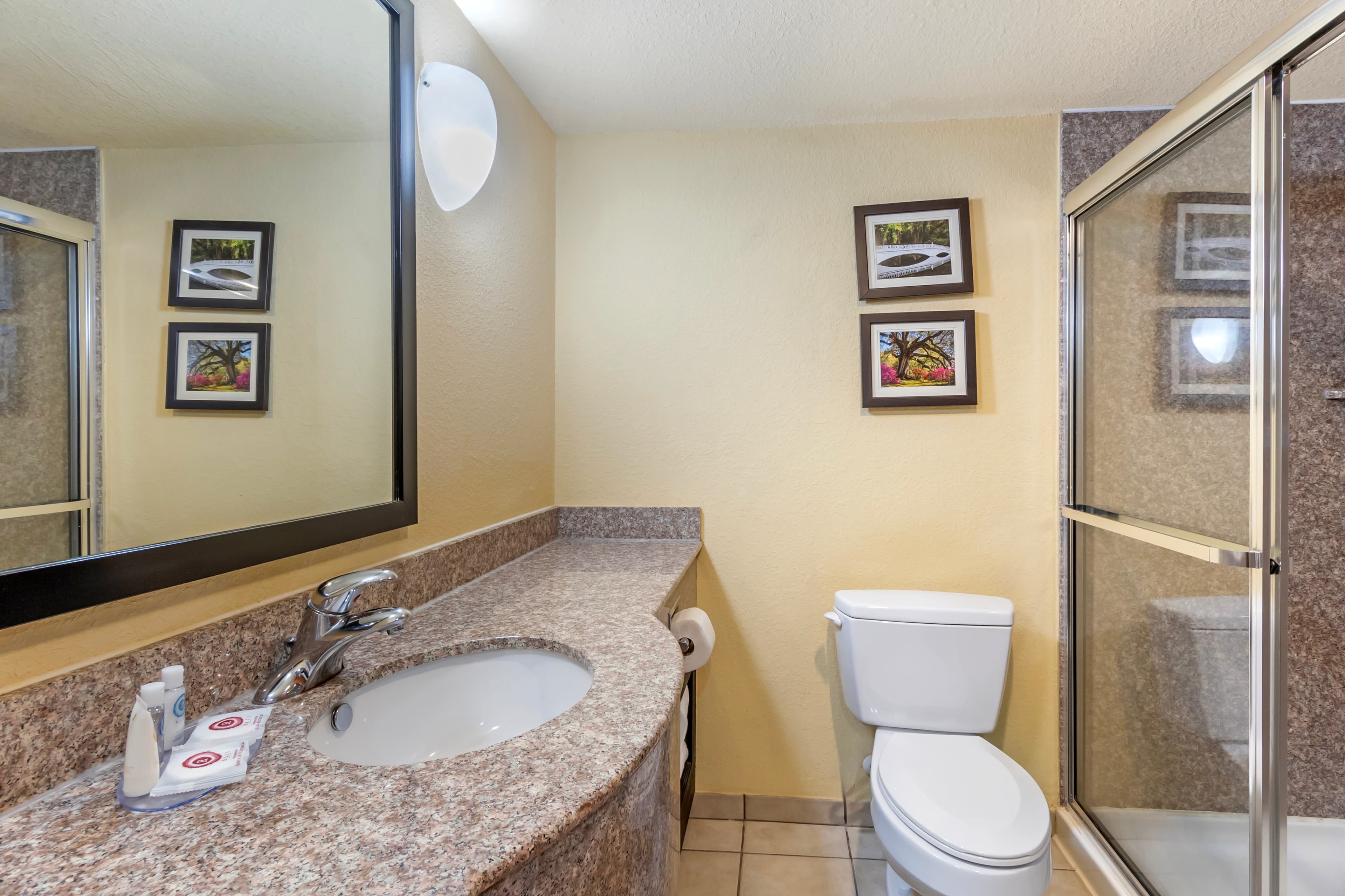 Comfort Inn & Suites Charleston Airport Convention Center — 18
