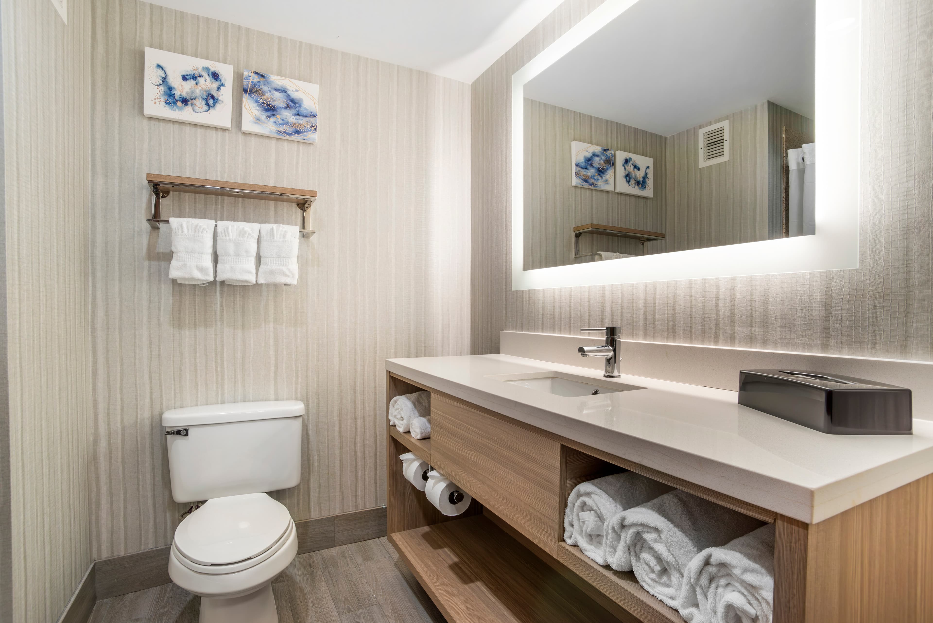 Comfort Suites At WestGate Mall — 29