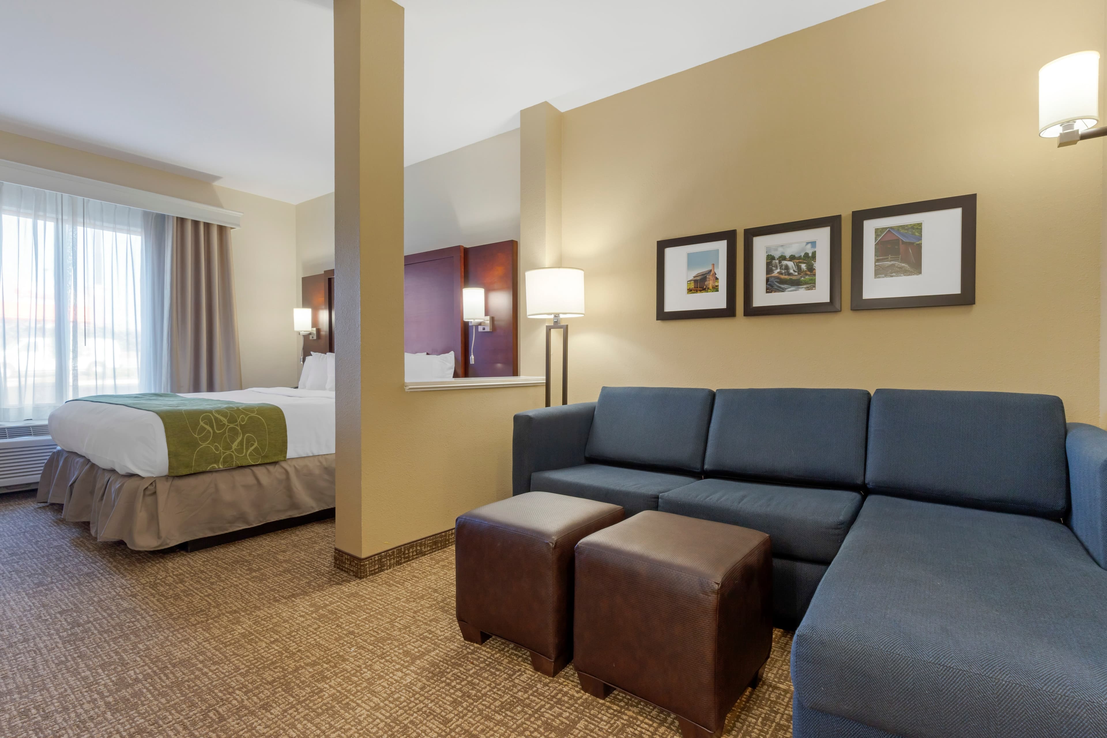 Comfort Suites Piedmont - Greenville South - Image 4