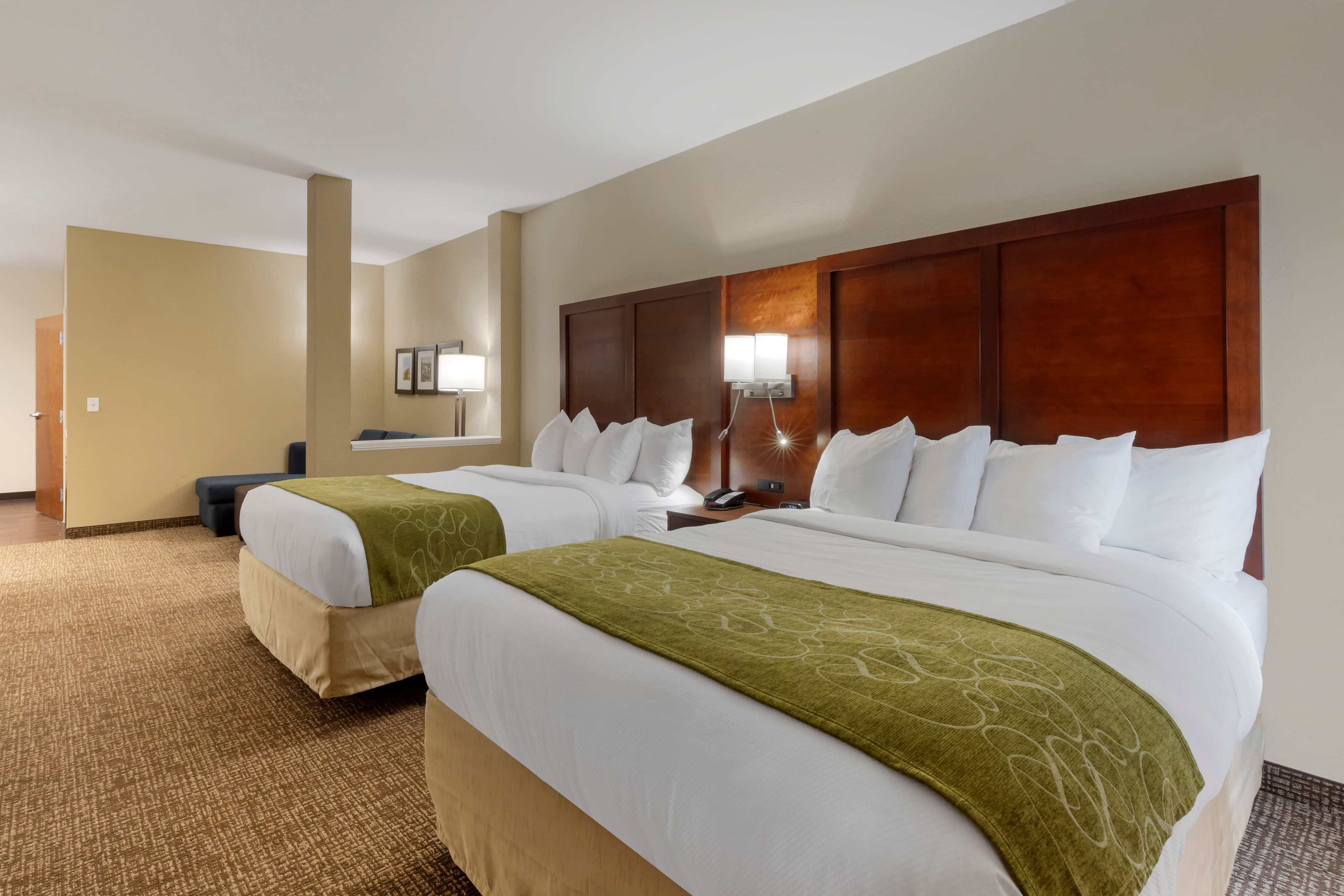 Comfort Suites Piedmont - Greenville South — 22