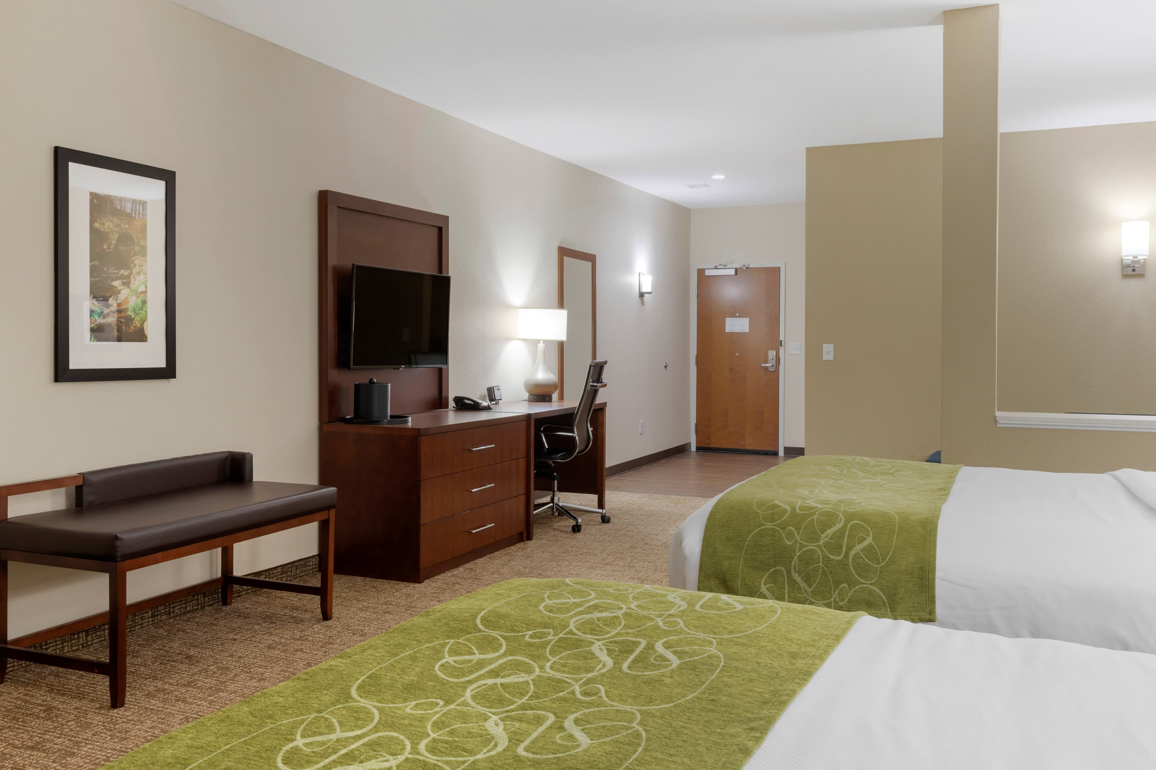Comfort Suites Piedmont - Greenville South — 25
