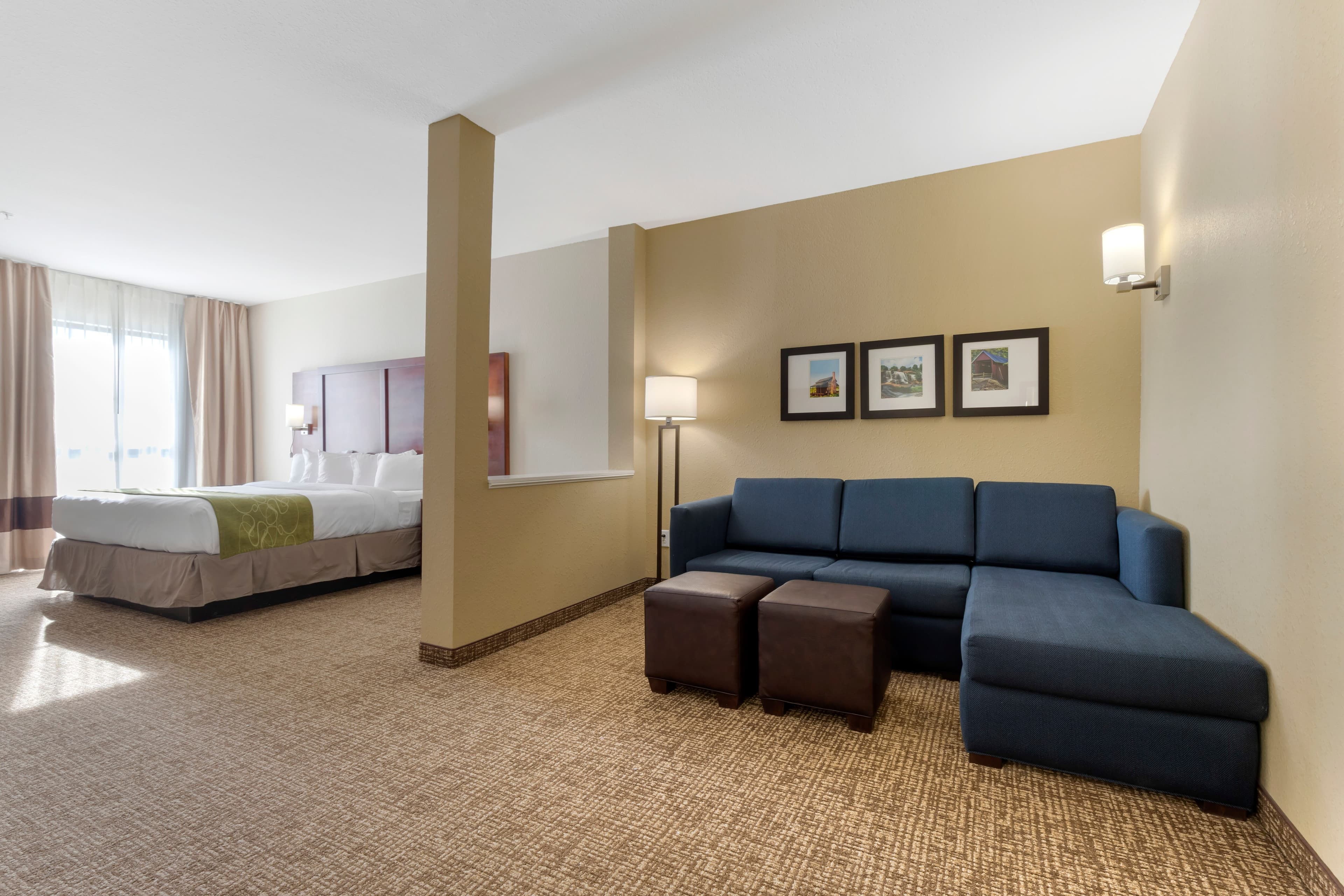 Comfort Suites Piedmont - Greenville South — 42