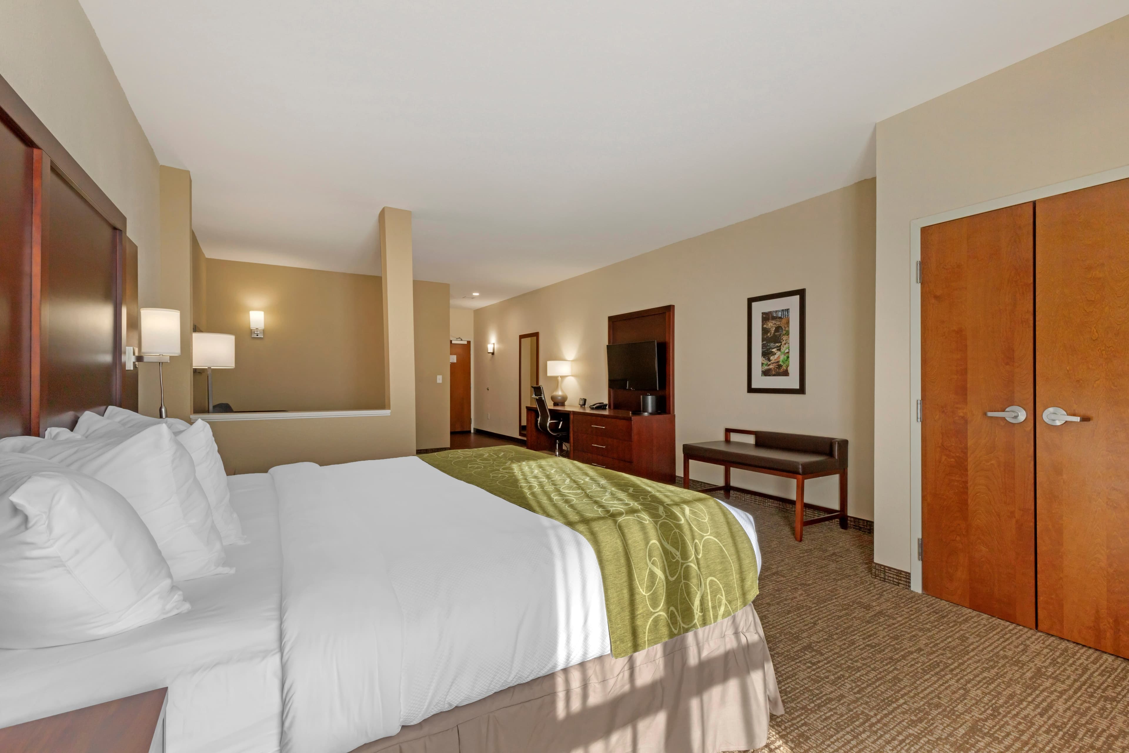 Comfort Suites Piedmont - Greenville South — 43