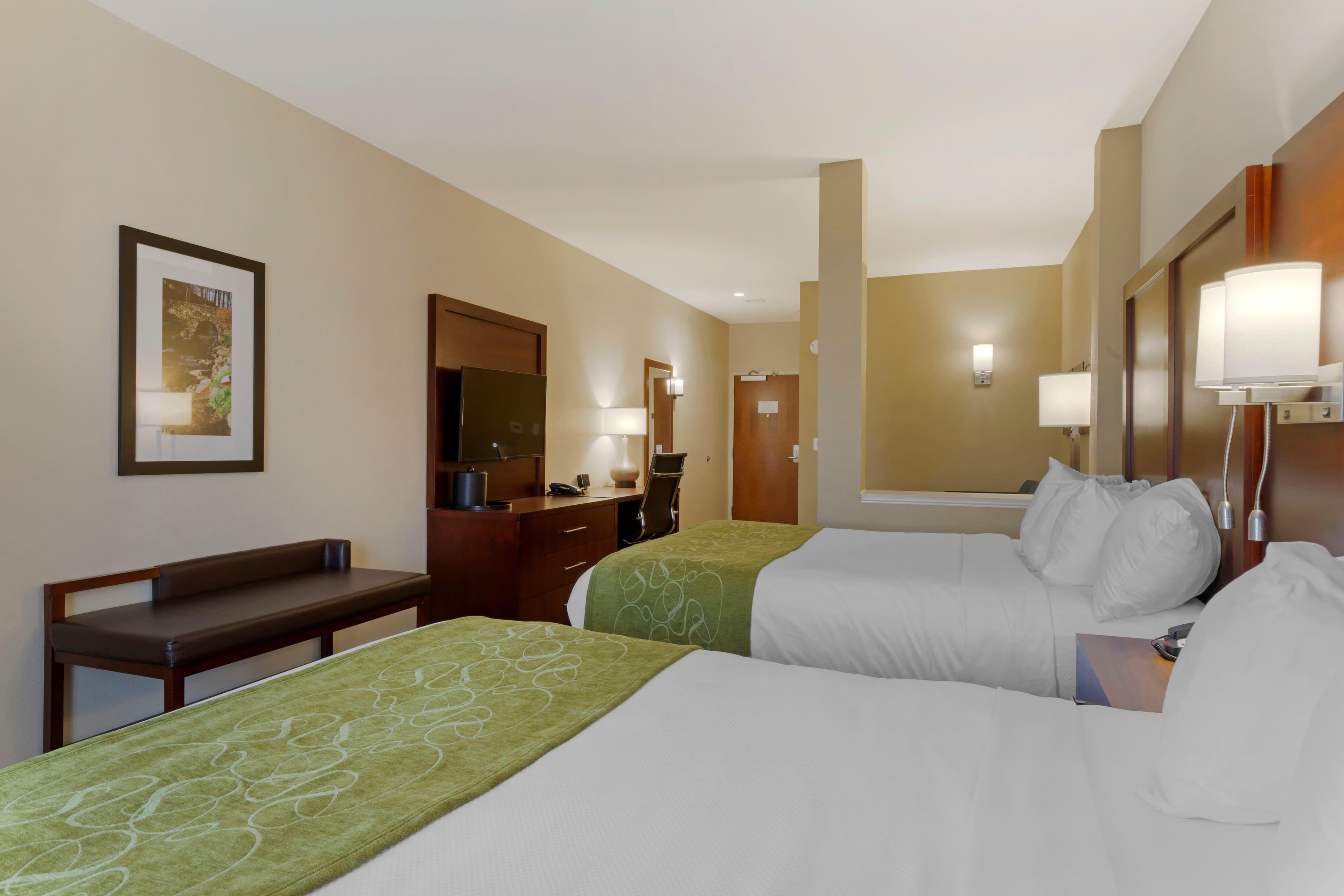 Comfort Suites Piedmont - Greenville South — 62