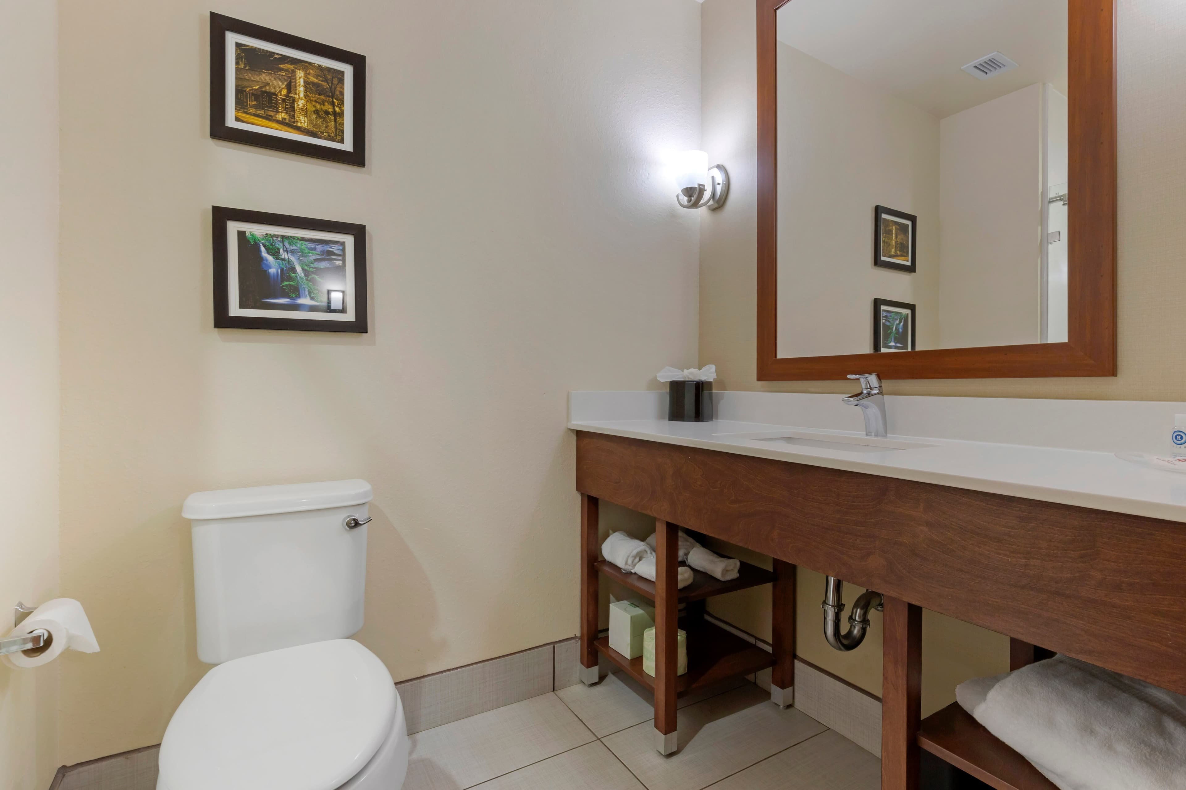 Comfort Suites Piedmont - Greenville South — 63