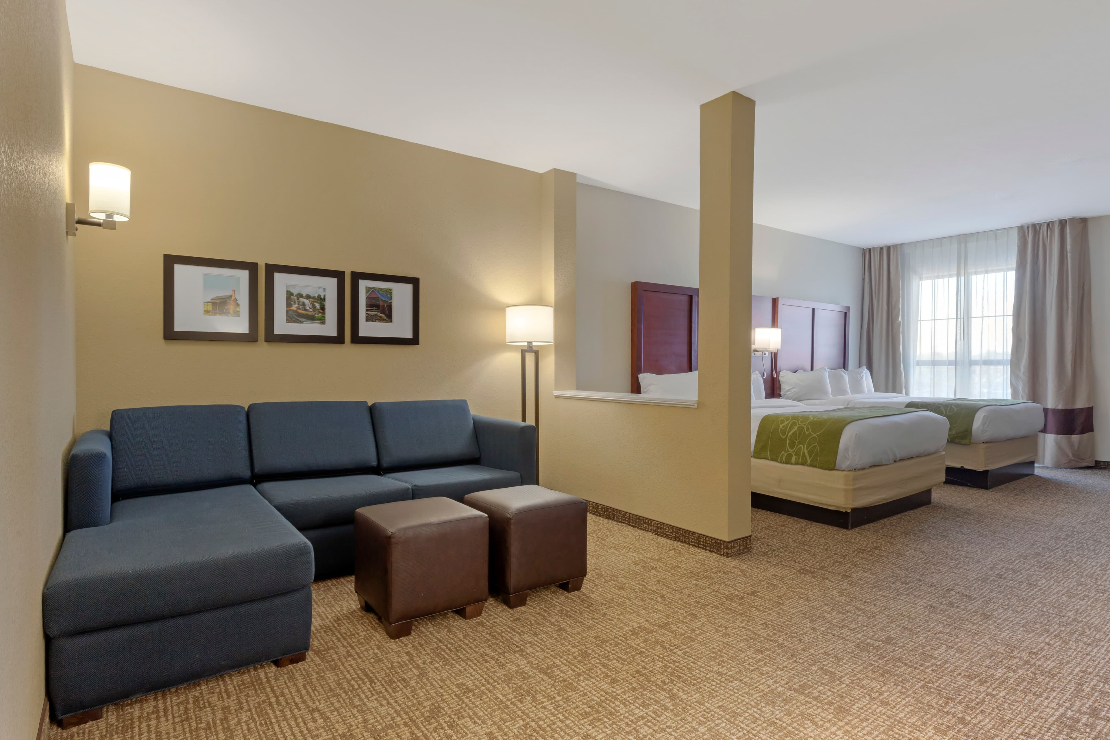 Comfort Suites Piedmont - Greenville South — 71