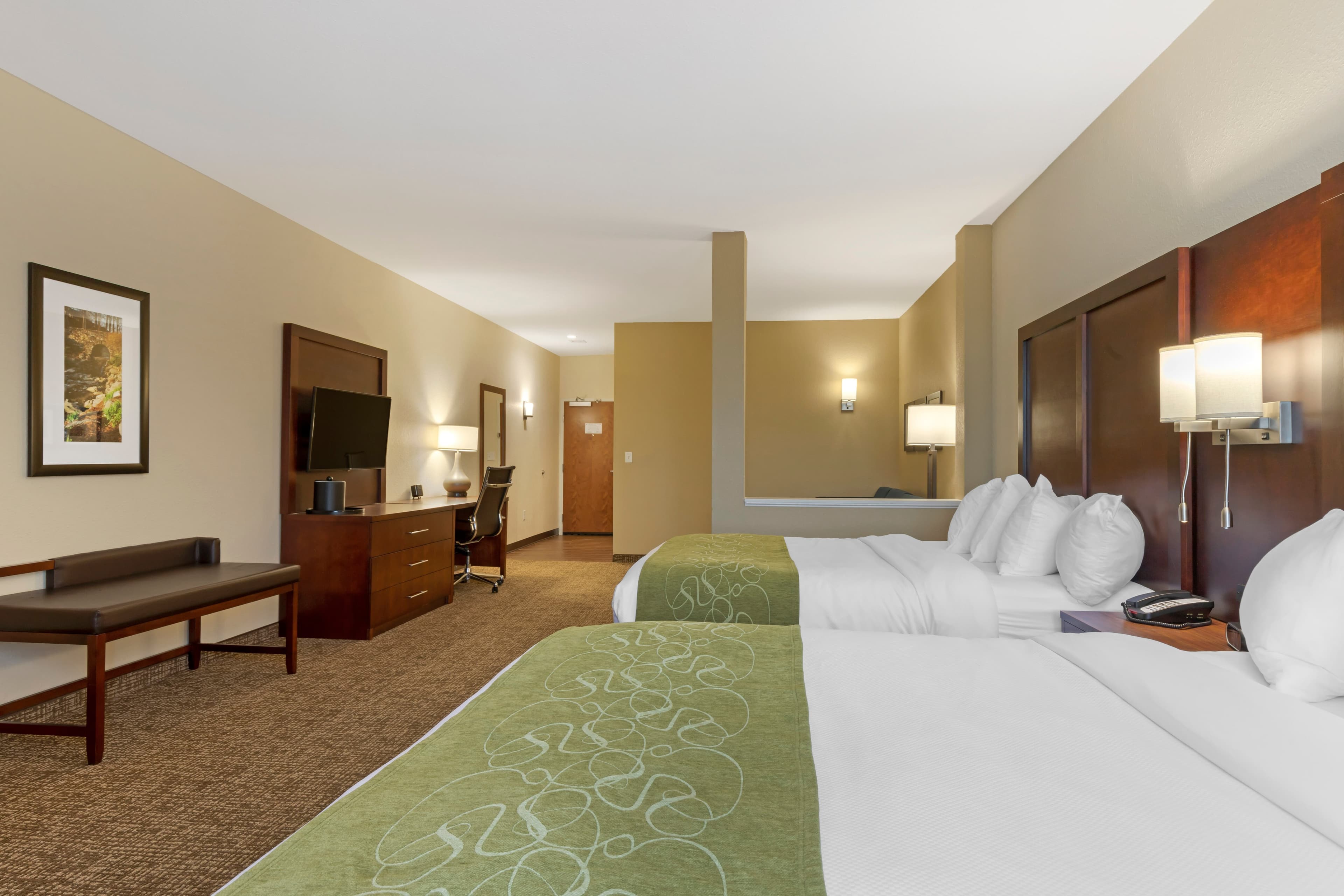 Comfort Suites Piedmont - Greenville South — 72