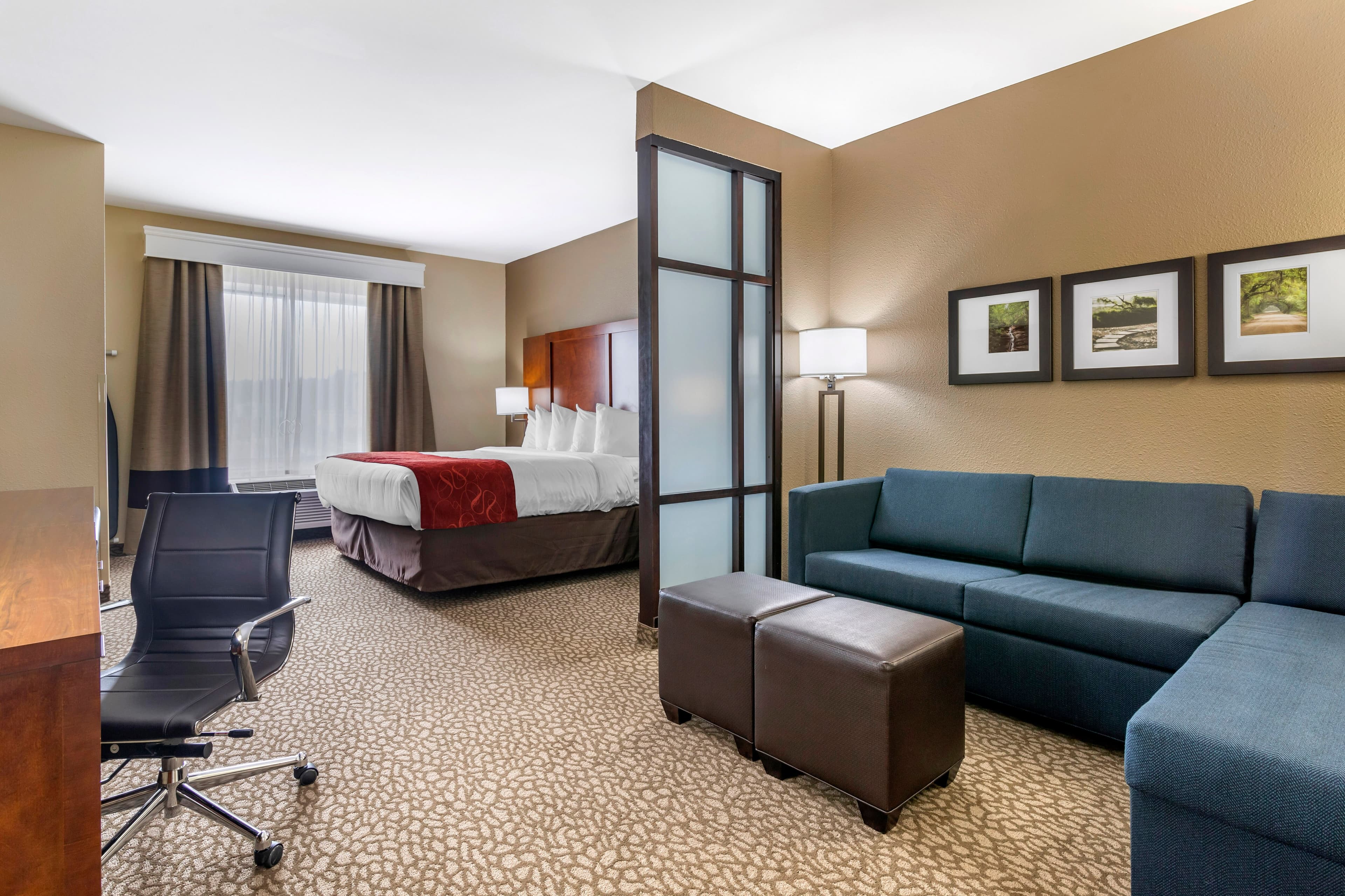 Comfort Suites Florence I-95 — 7