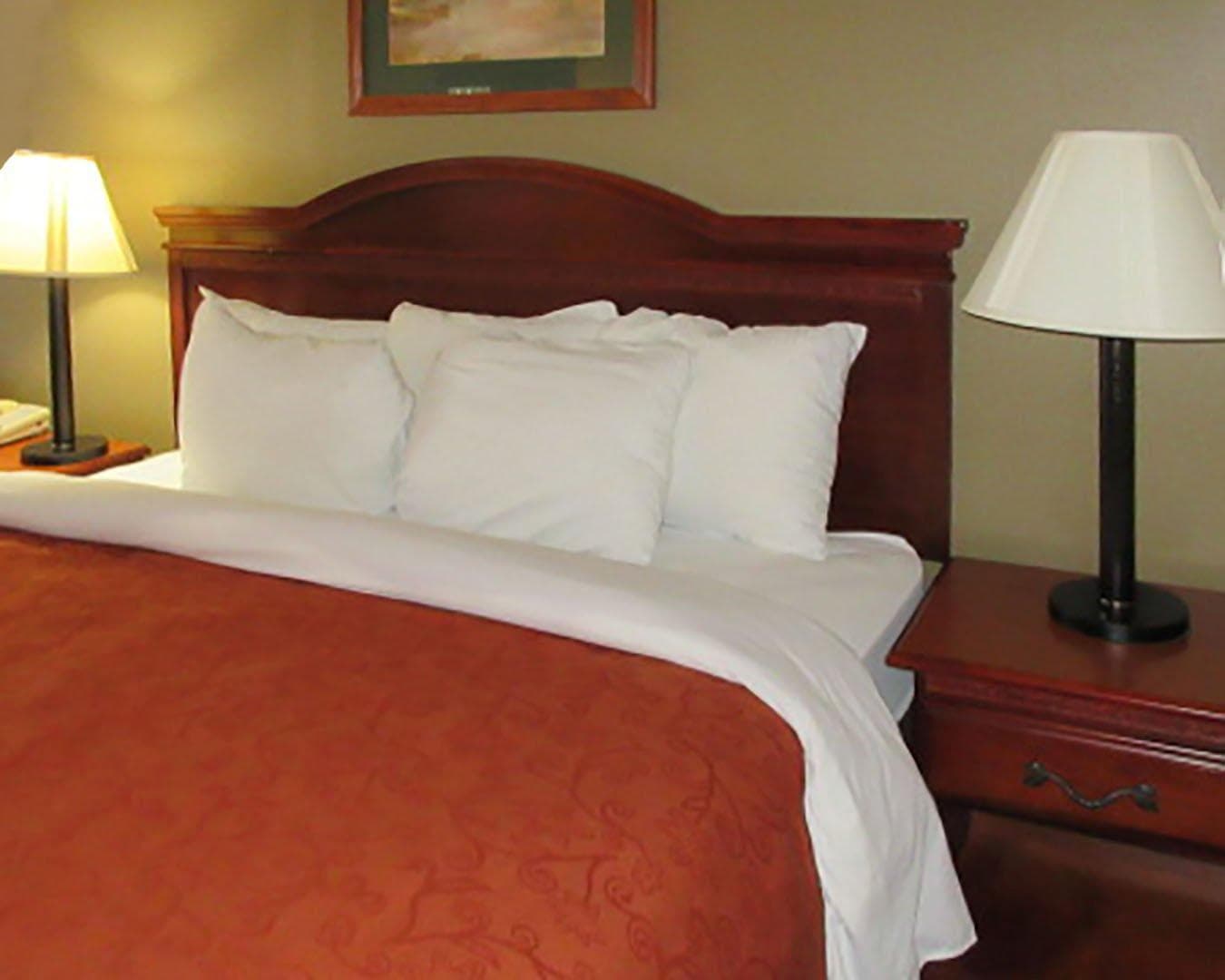 Rodeway Inn Walterboro I-95 - Image 5