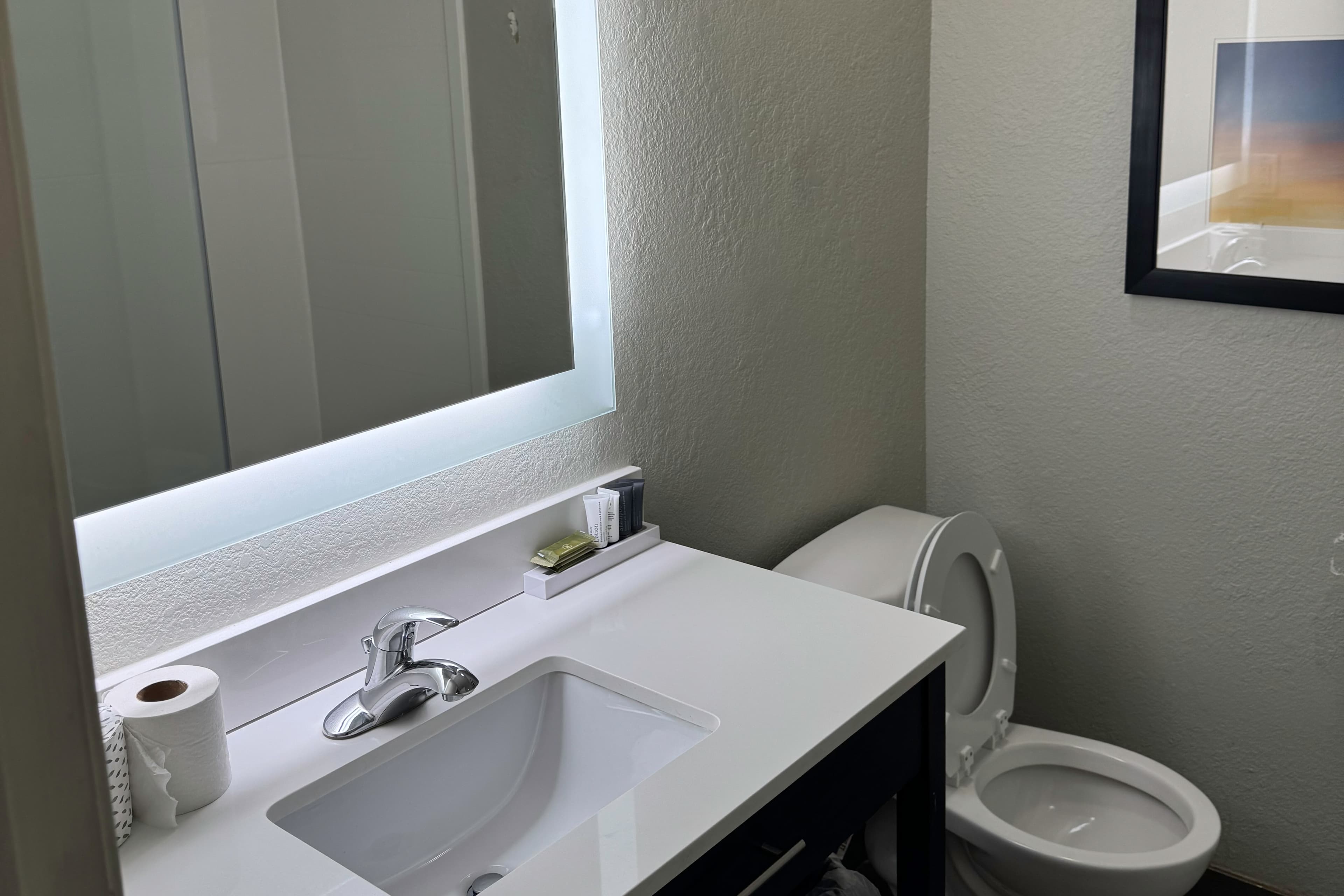 Gallus Stadium Park Inn, an Ascend Collection Hotel — 25