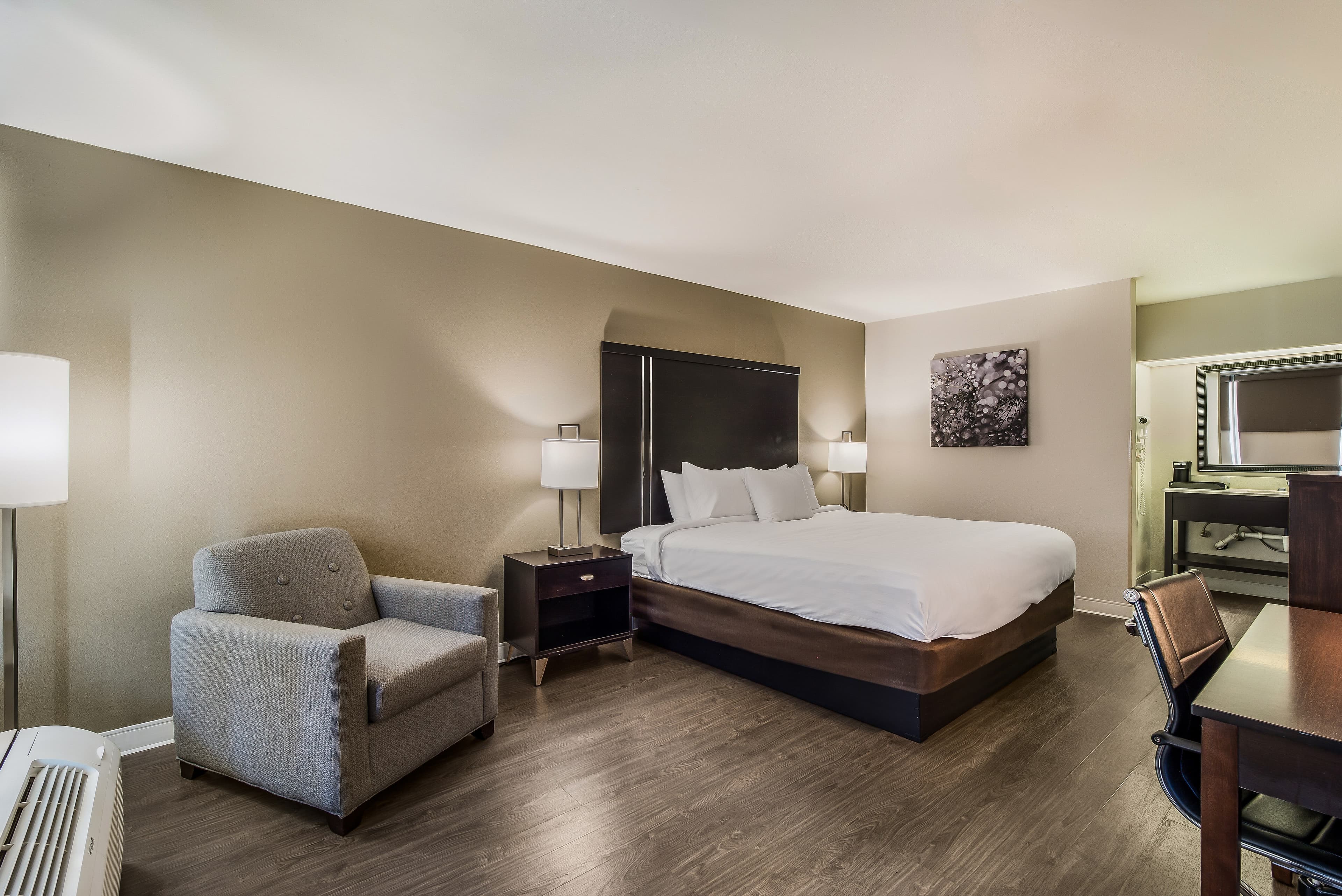 Clarion Inn & Suites Florence - Darlington - Image 3