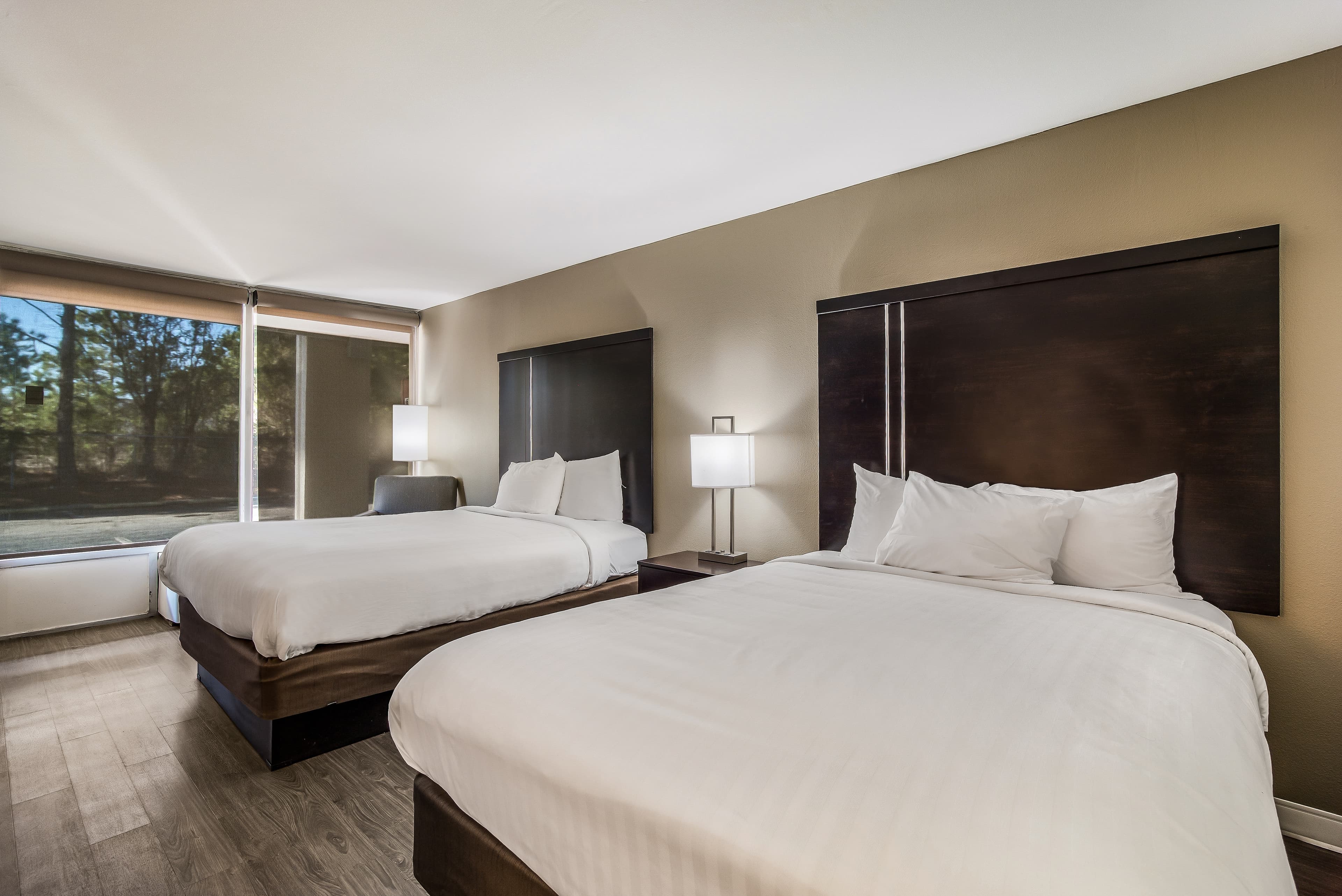 Clarion Inn & Suites Florence - Darlington — 12