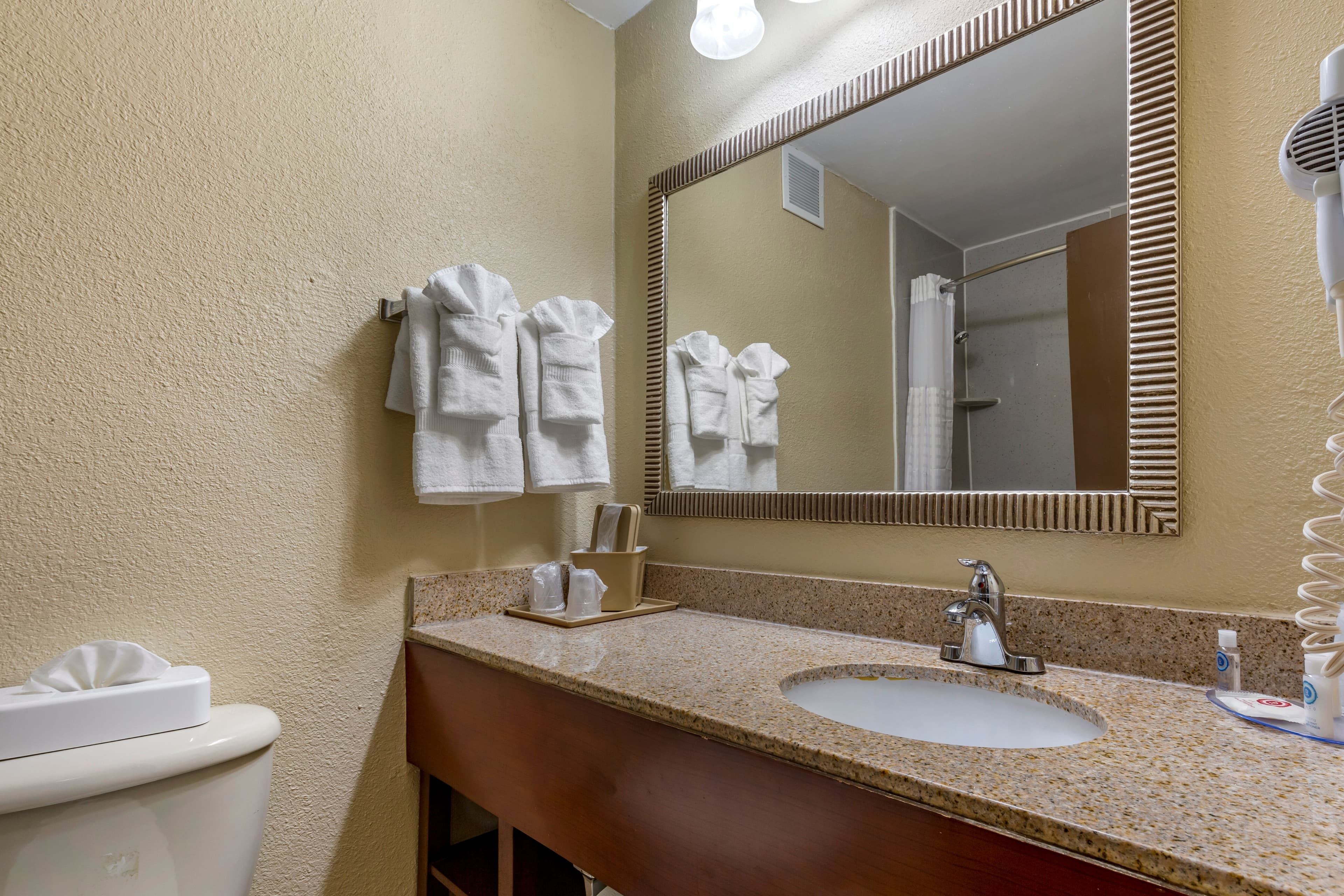 Comfort Inn Fort Mill Amusement Park at Carowinds Blvd — 9