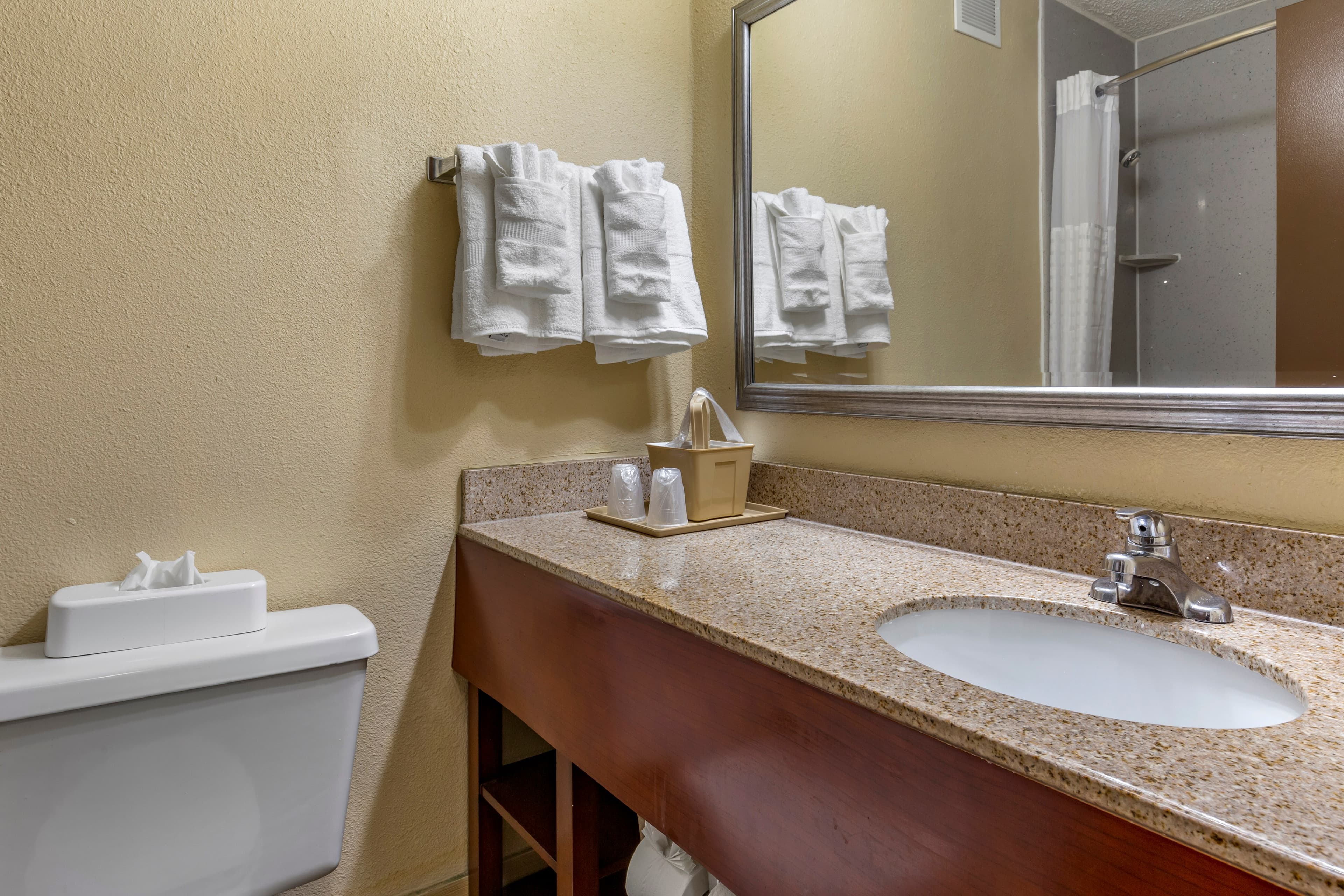 Comfort Inn Fort Mill Amusement Park at Carowinds Blvd — 17