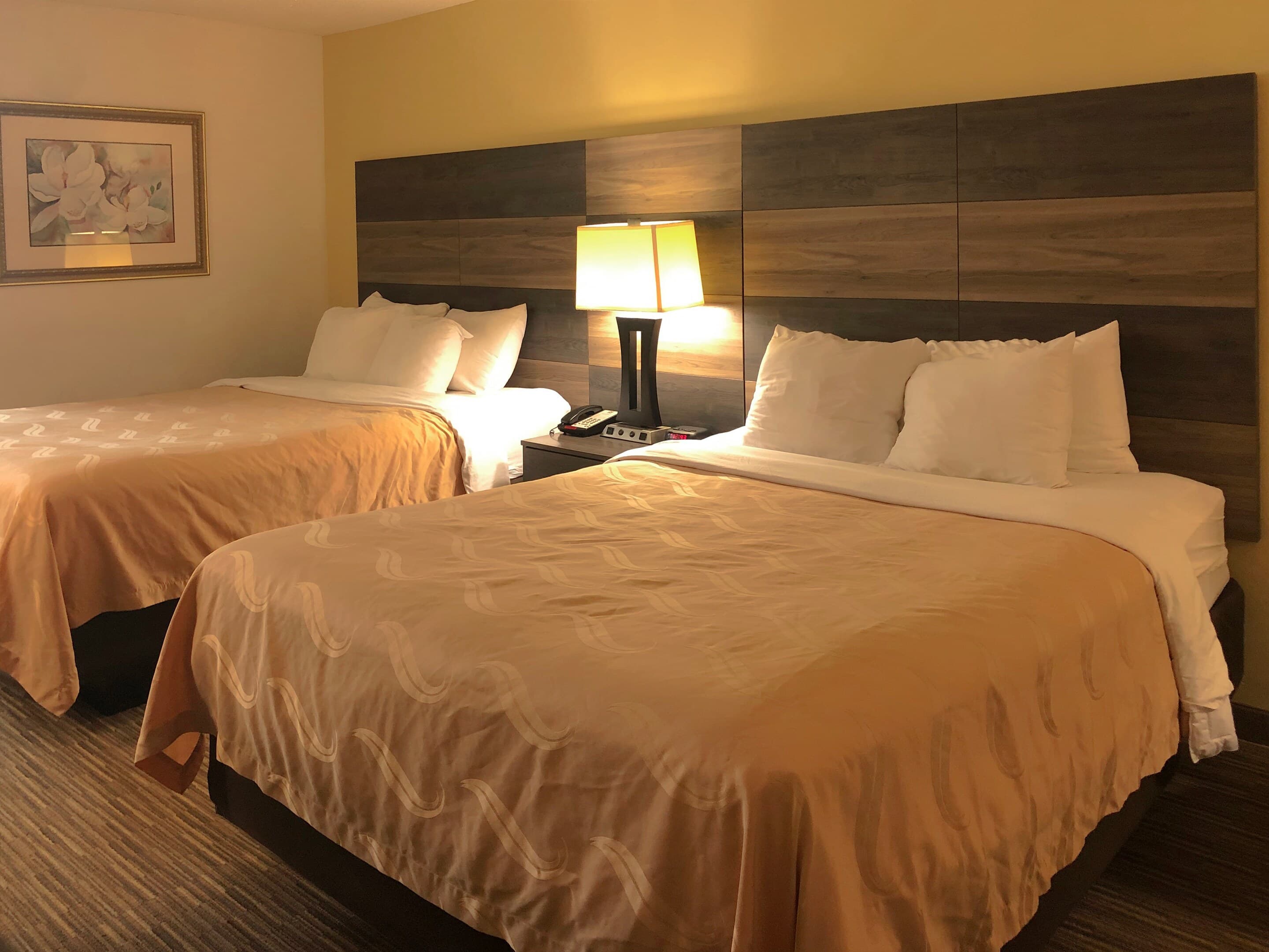Quality Inn Bennettsville — 43