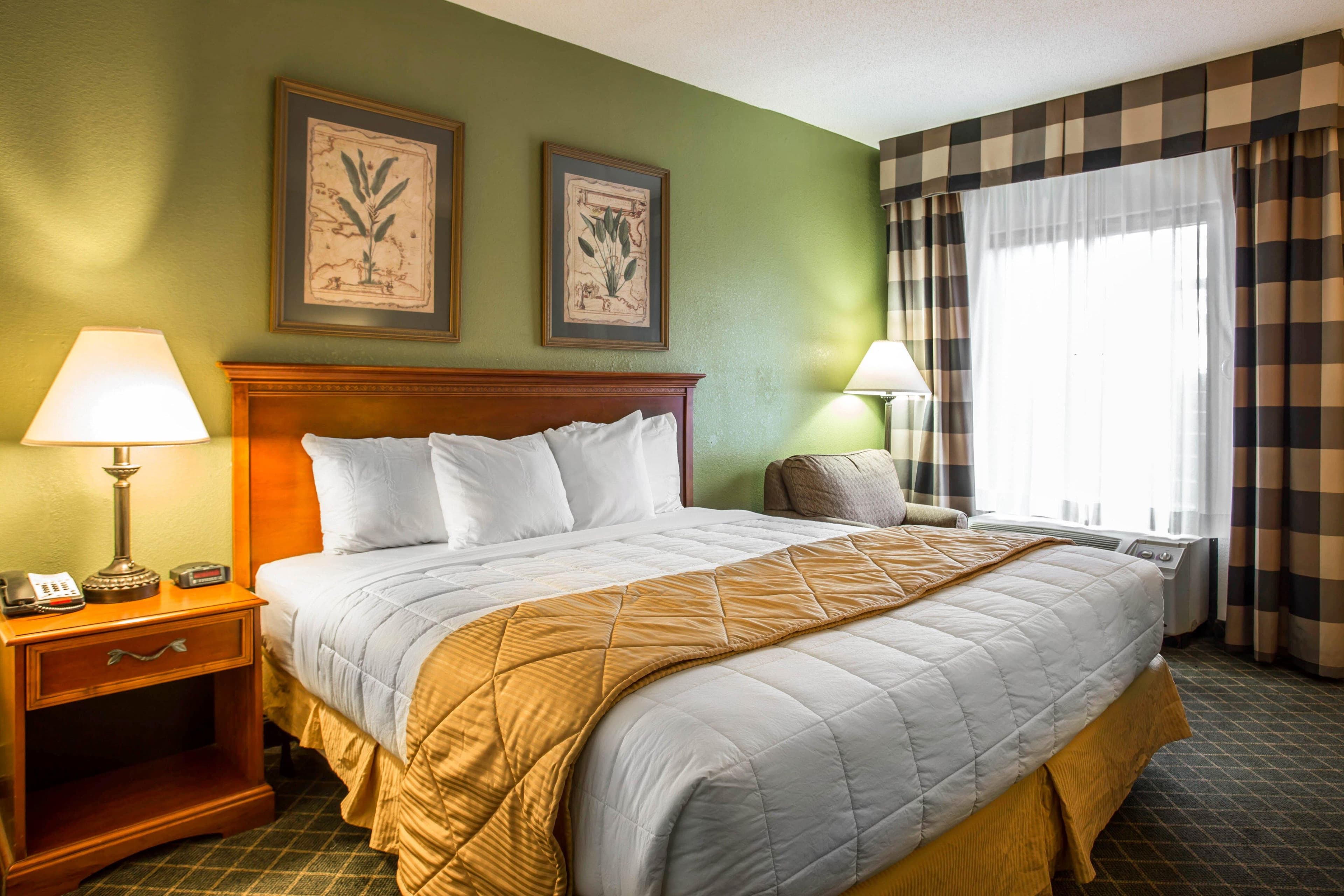 Clarion Inn & Suites Aiken South - Image 2