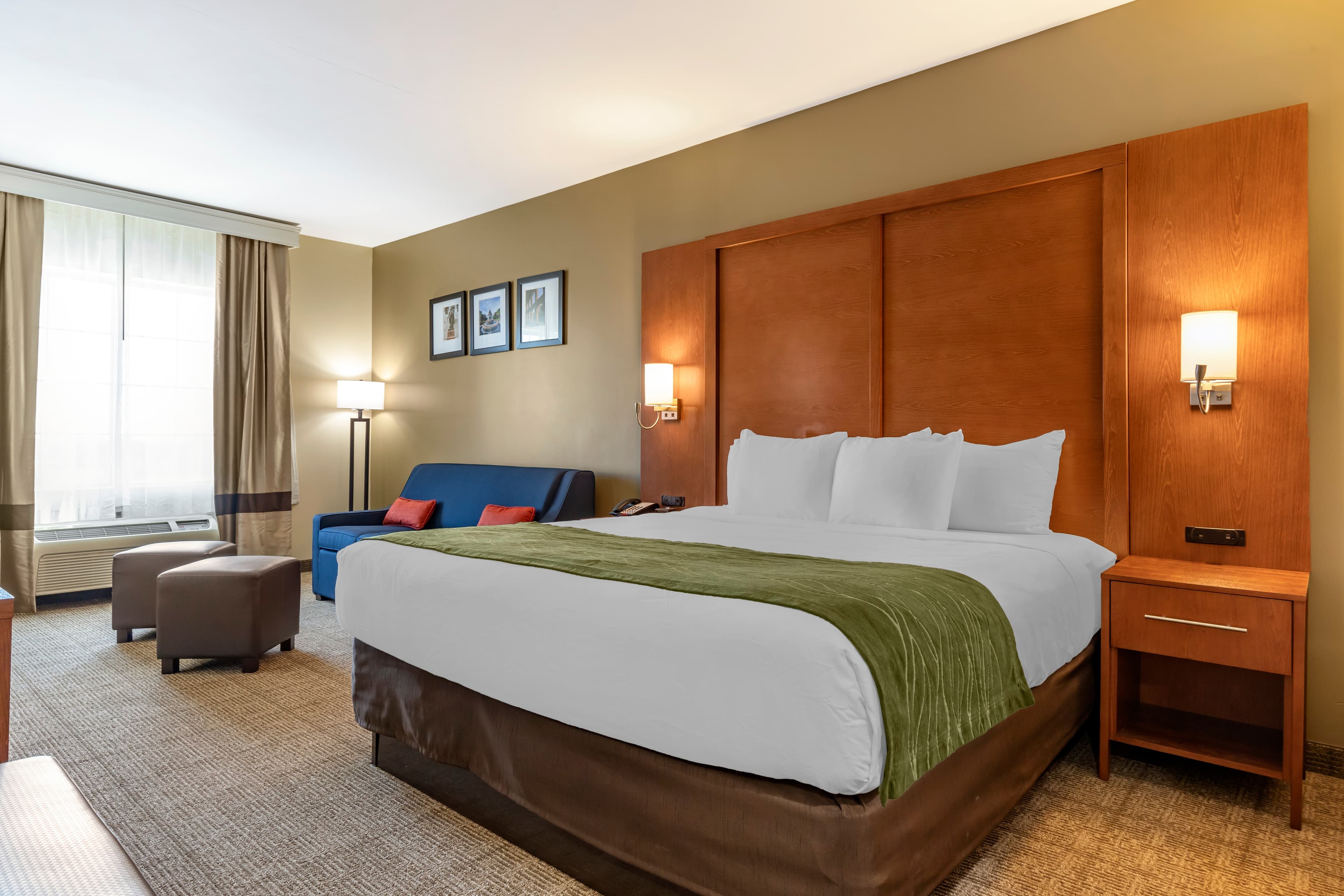 Comfort Inn & Suites Orangeburg - Image 2