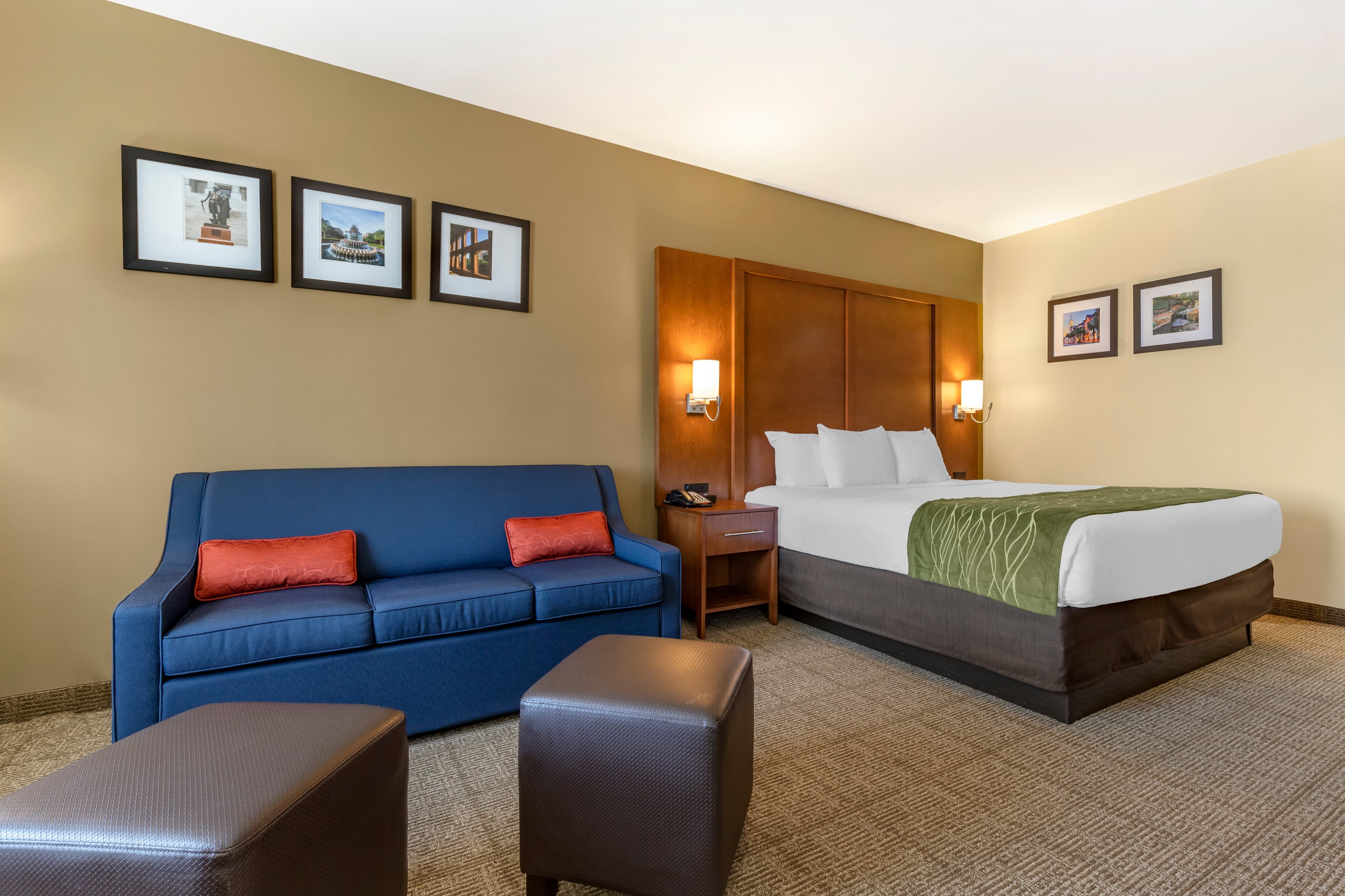Comfort Inn & Suites Orangeburg - Image 4