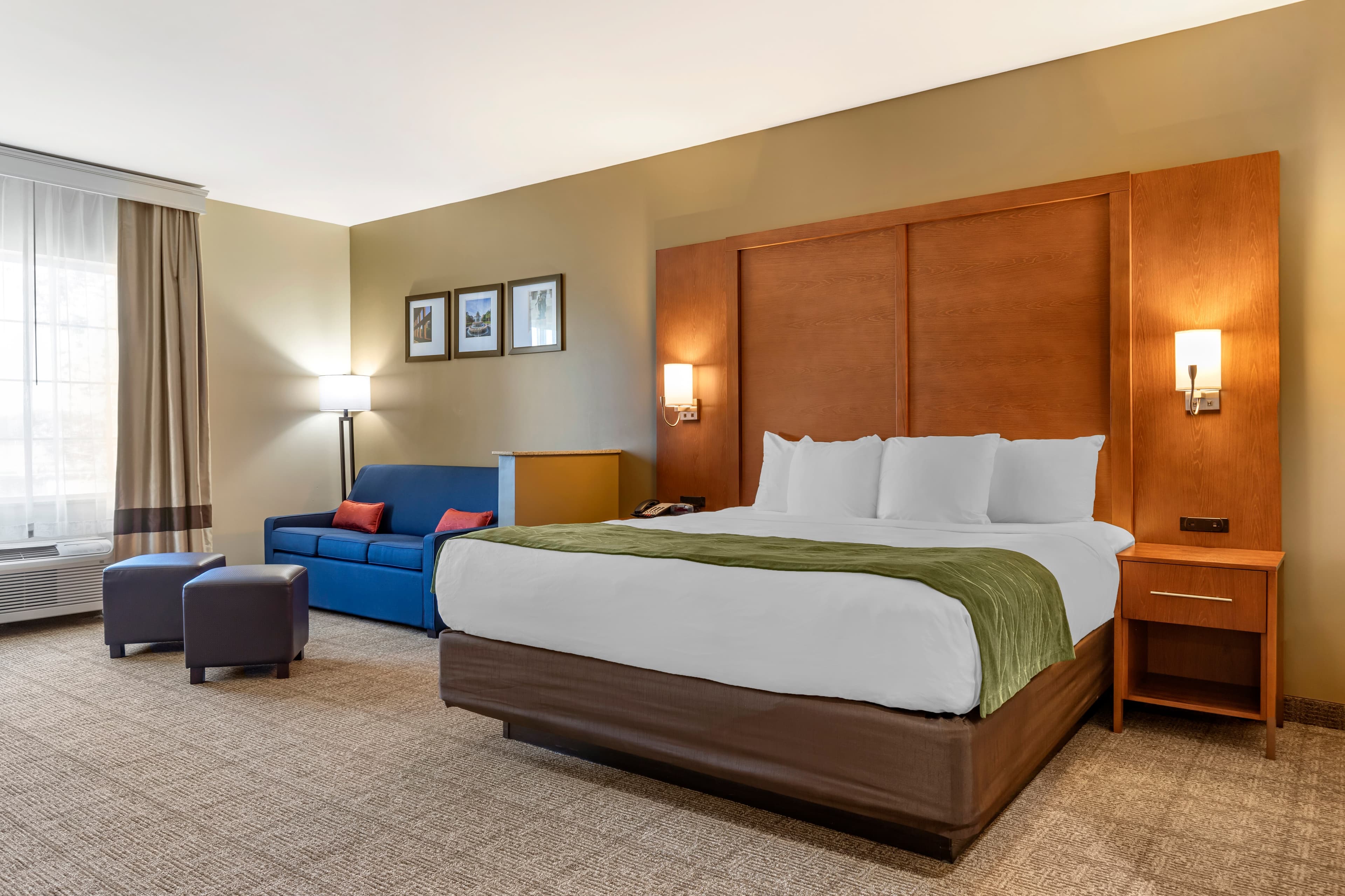 Comfort Inn & Suites Orangeburg — 7