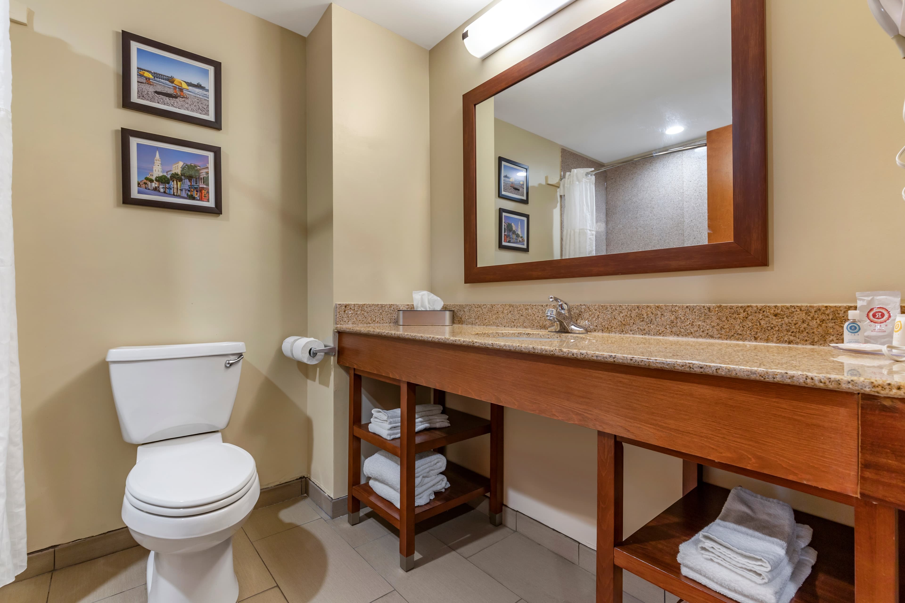 Comfort Inn & Suites Orangeburg — 10