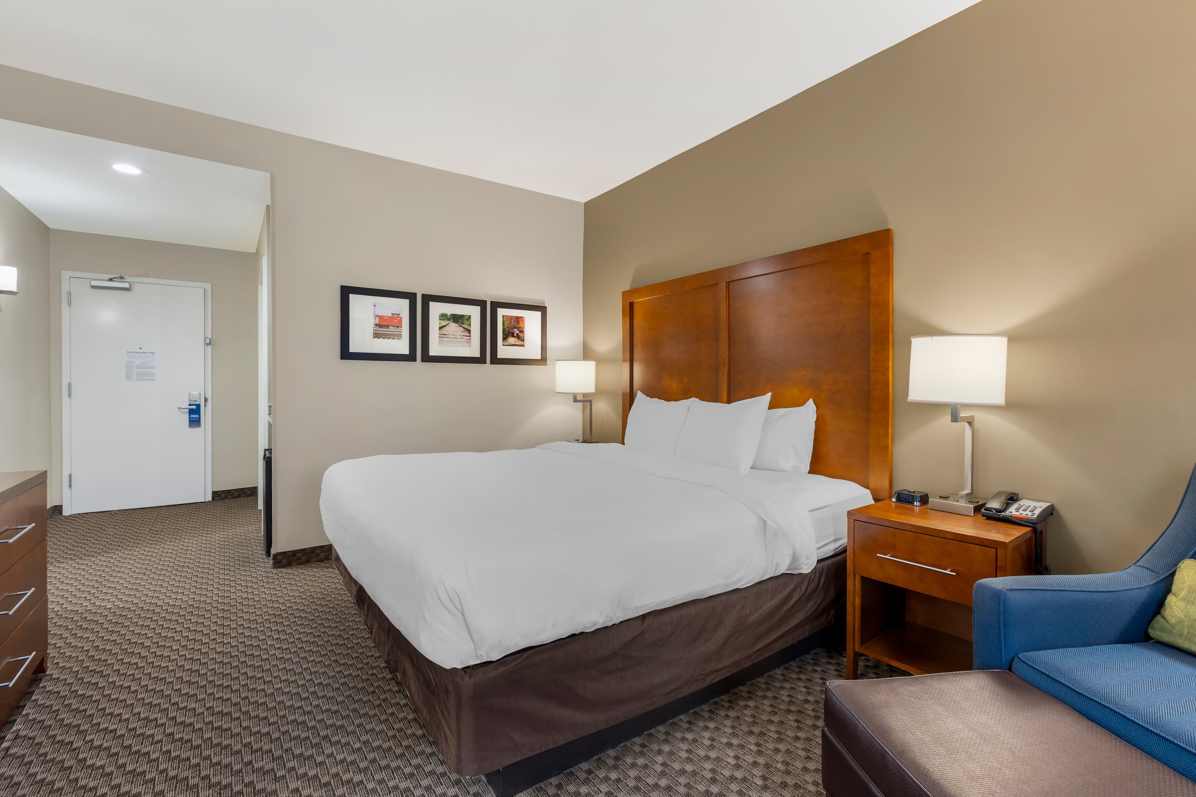 Comfort Inn & Suites Florence Center Area - Image 2
