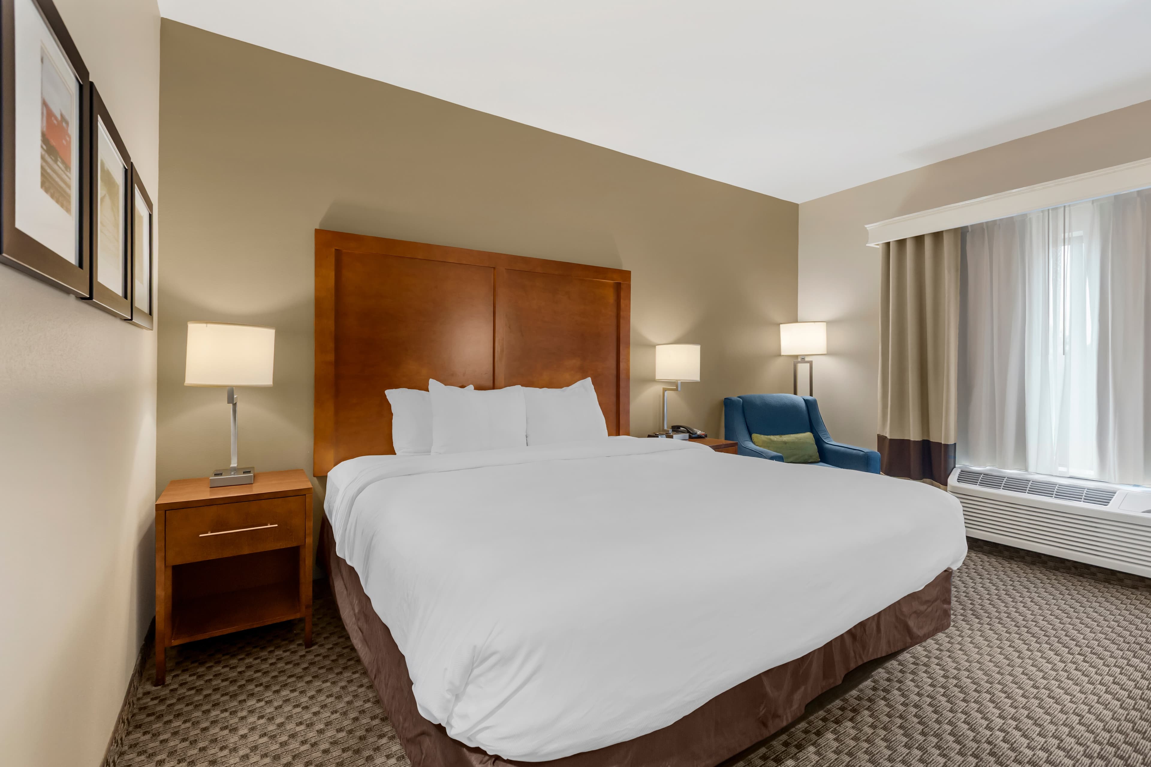 Comfort Inn & Suites Florence Center Area - Image 3