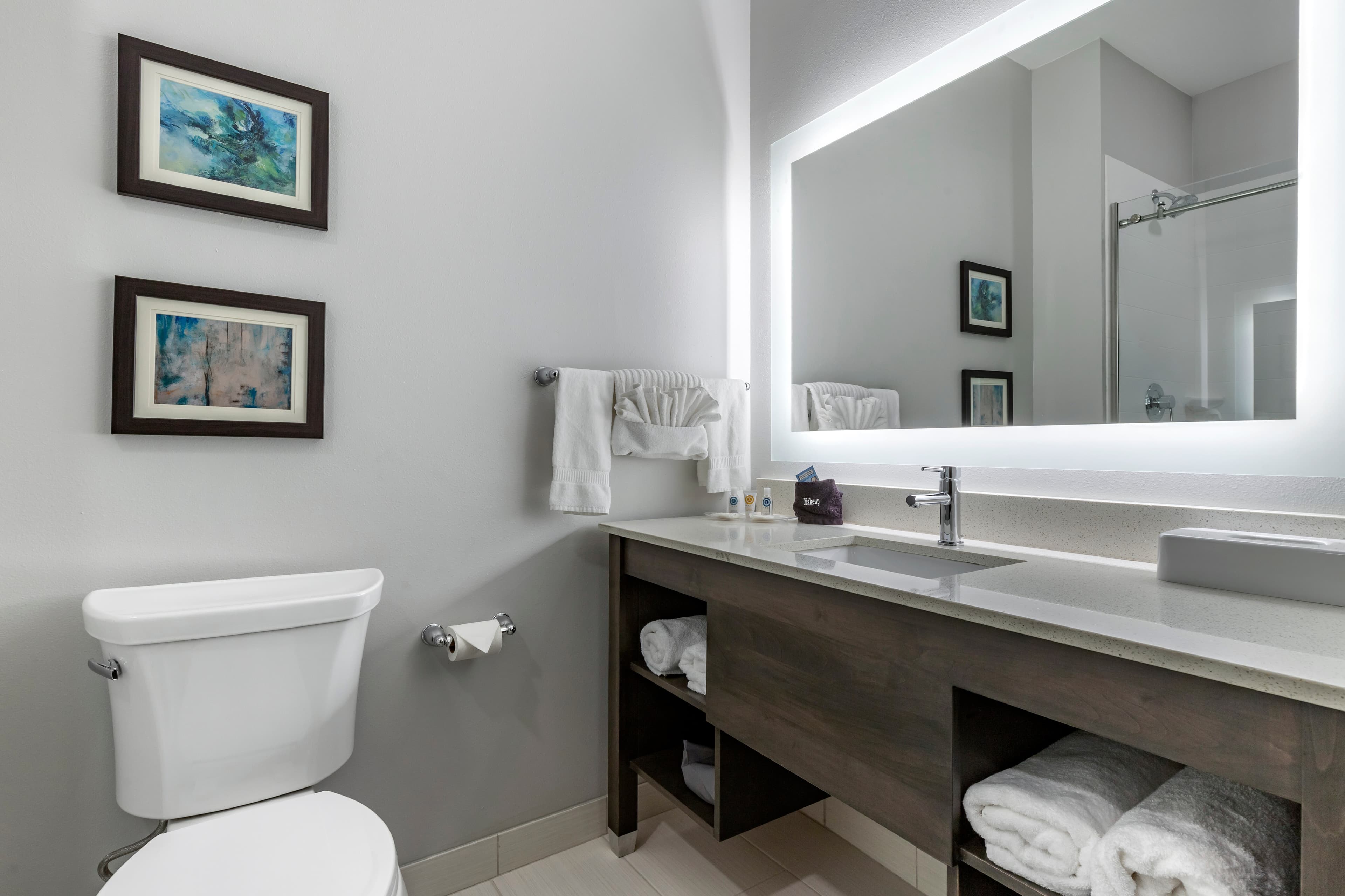 Comfort Suites Greenville Airport — 22